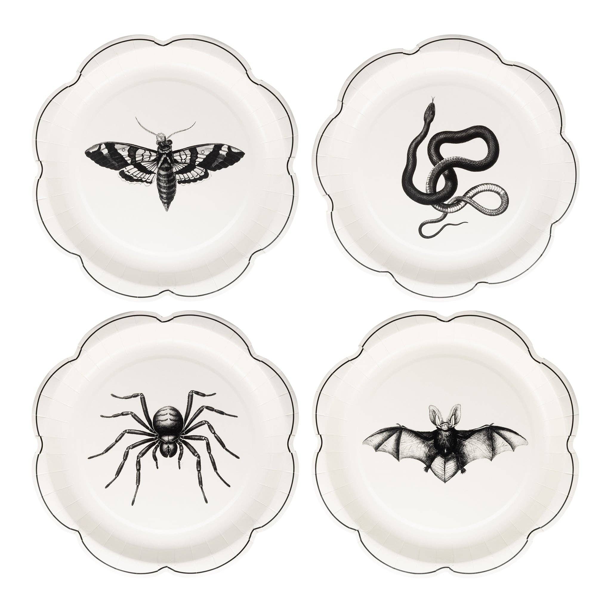 Apothecary Paper Plate Set 8" - bubblegum market