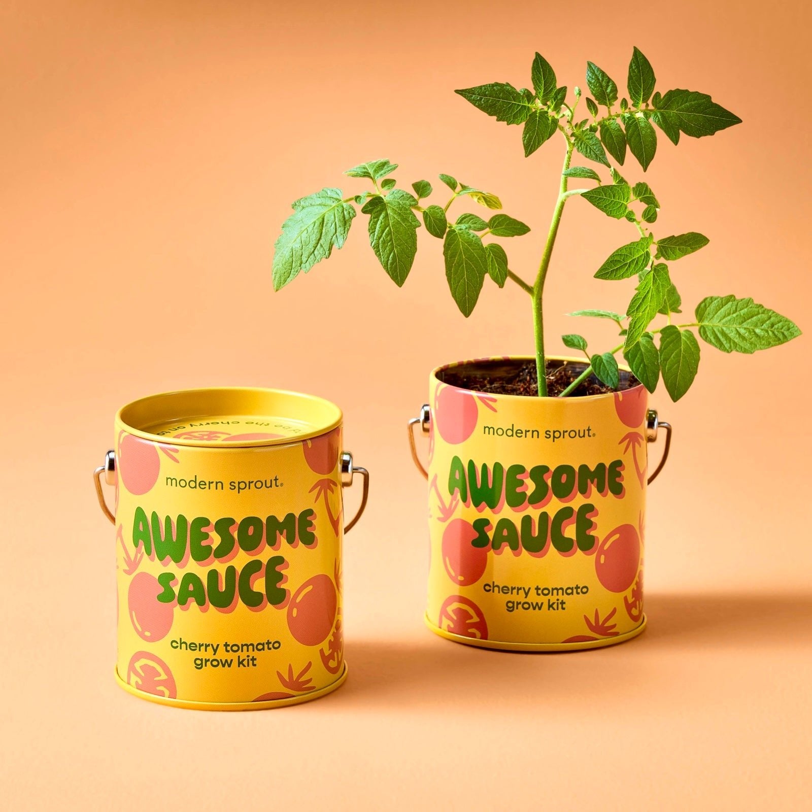Awesome Sauce Cherry Tomato Grow Kit - bubblegum market