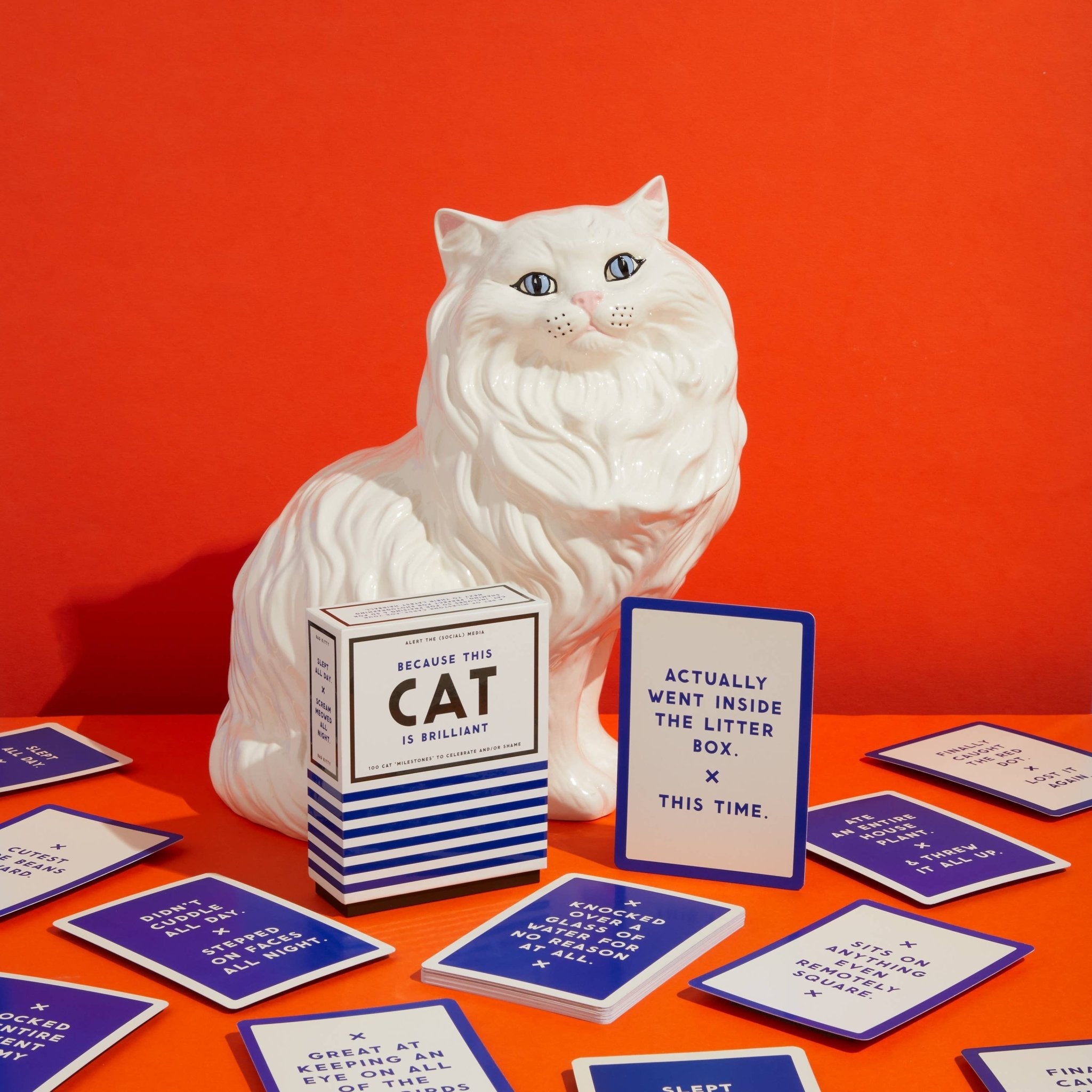 Because This Cat Is Brilliant/Embarrassing: Pet Shame/Praise Deck - bubblegum market