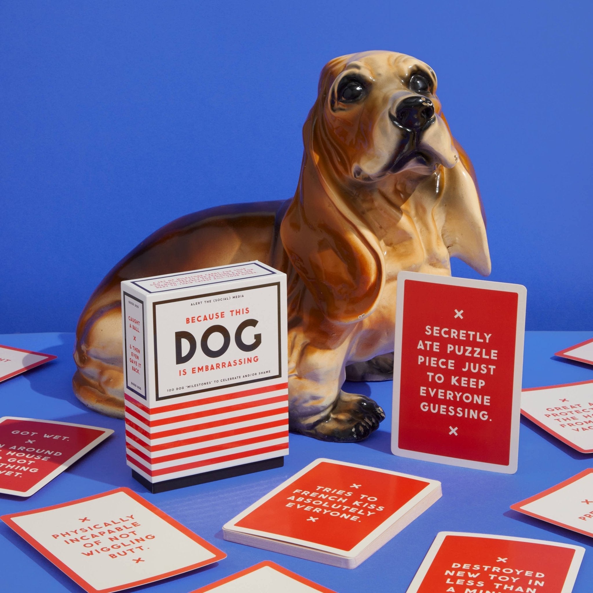 Because This Dog Is Embarrassing/Brilliant: Pet Shame/Praise Deck - bubblegum market