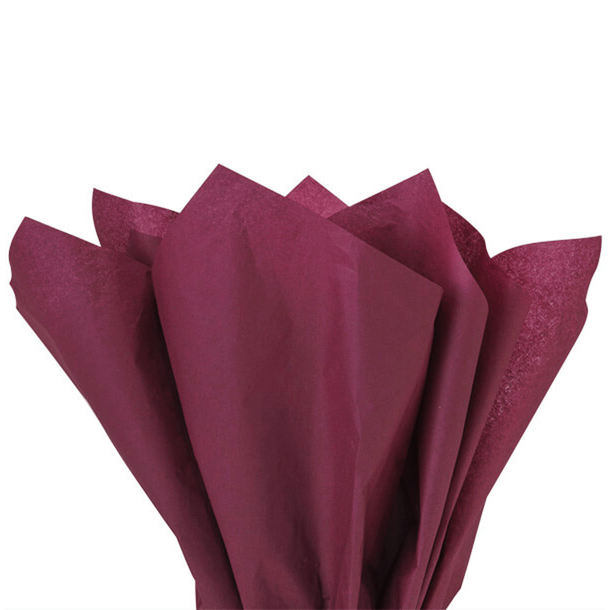 Burgundy Tissue Paper (24pk) - bubblegum market