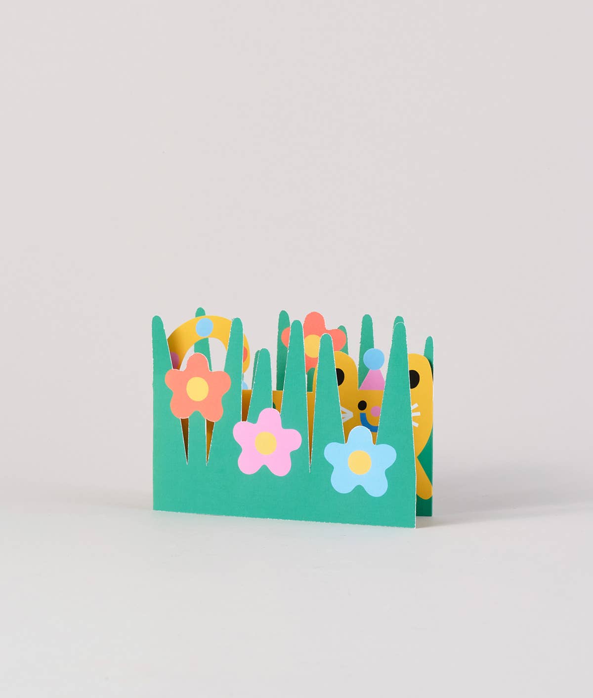 'Cat' Fold Out Kid's Birthday Card - bubblegum market