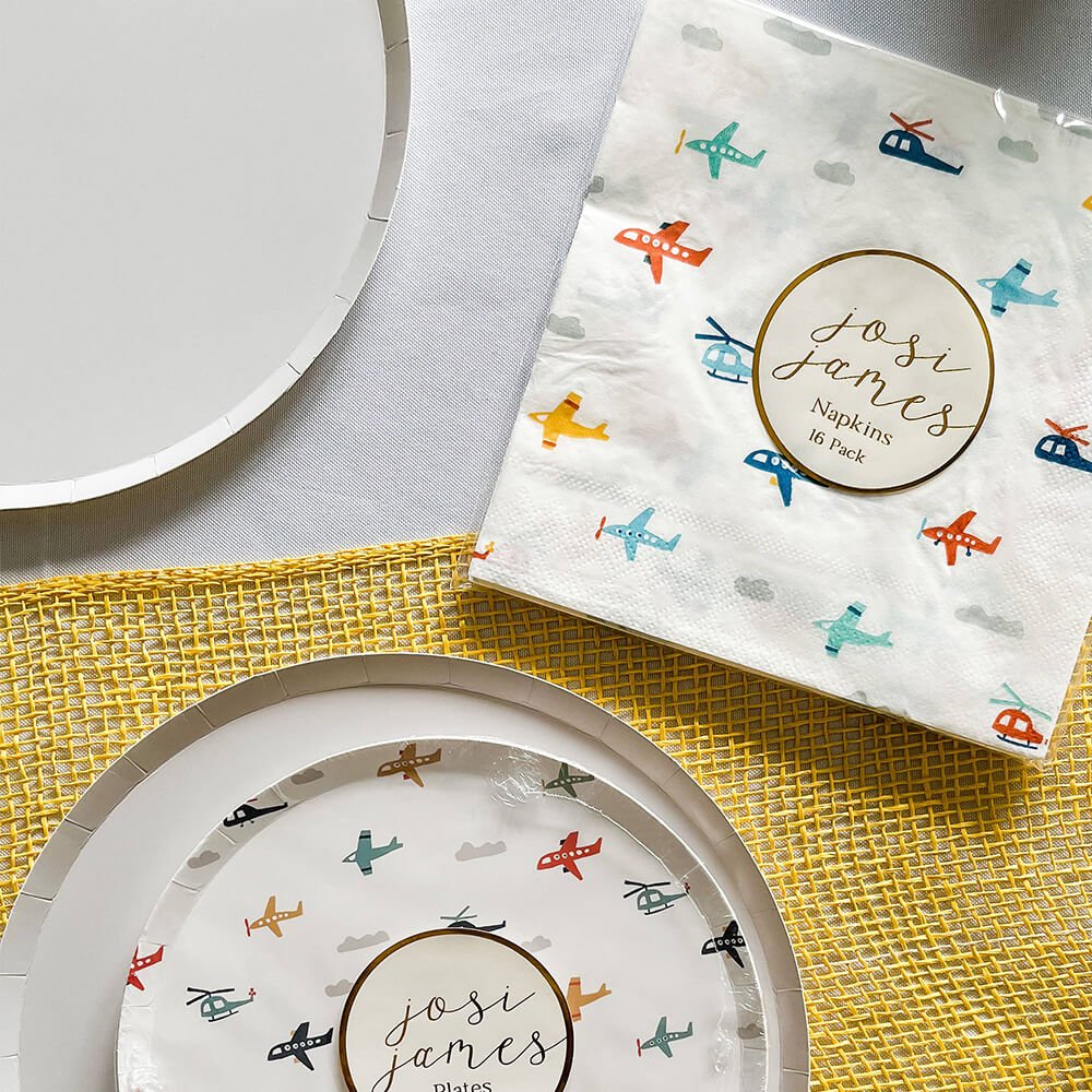 Classic Light Gray Paper Plates 9" - bubblegum market