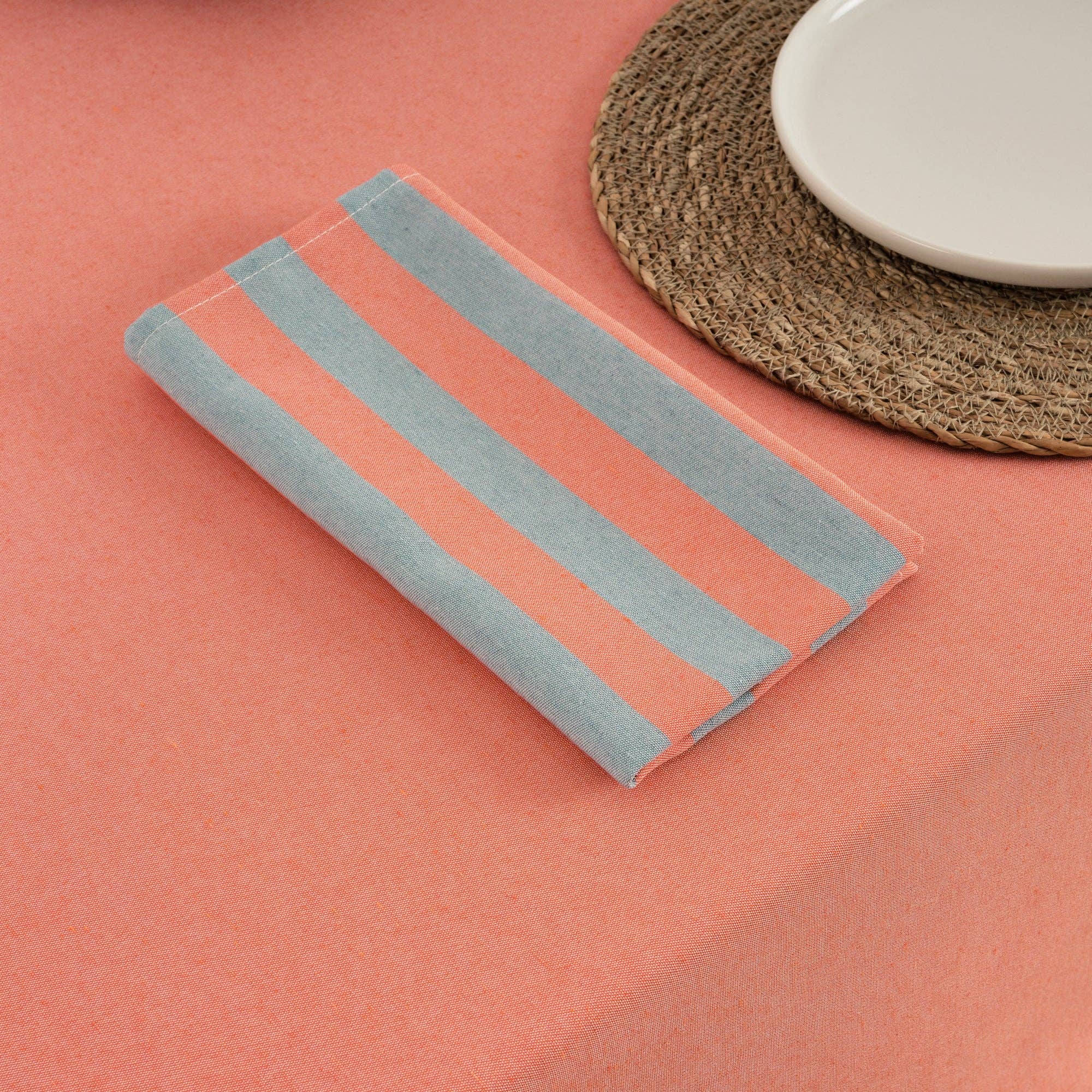 Coral / Slate Green Striped Napkins (Set of 2) - bubblegum market