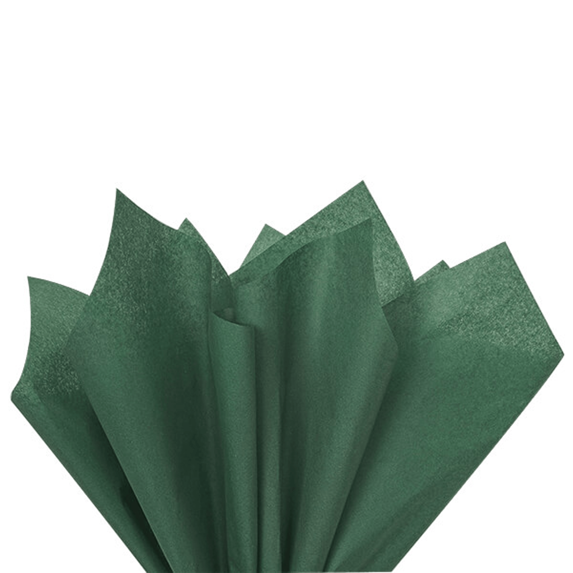 Evergreen Tissue Paper (24pk) - bubblegum market