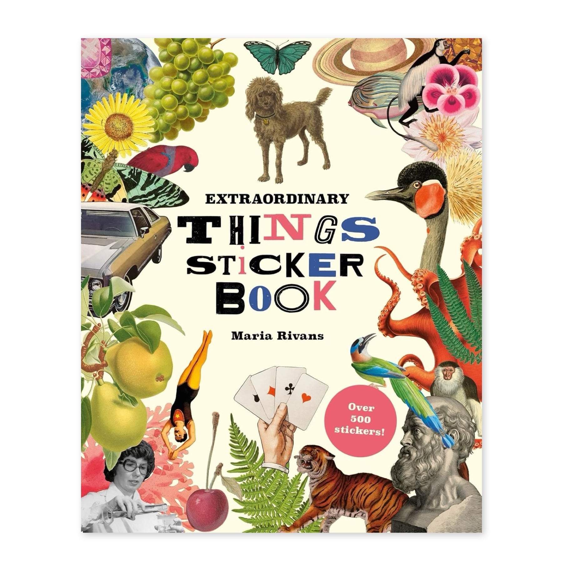 Extraordinary Things Sticker Book - bubblegum market