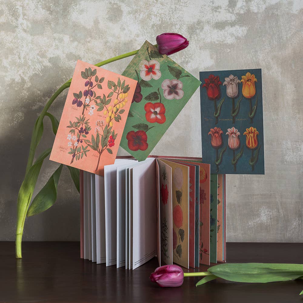 Festival of Flowers Postcard Book - bubblegum market