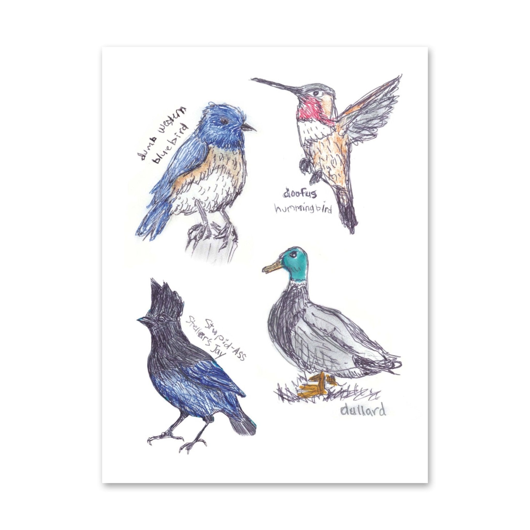 Field Guide to Dumb Birds Sticker Book - bubblegum market