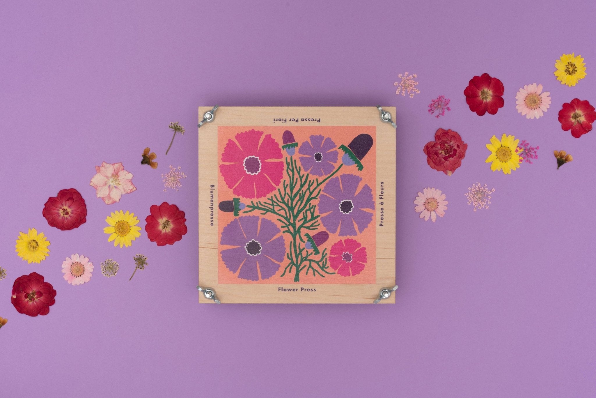 Flower Press | Cosmos - bubblegum market