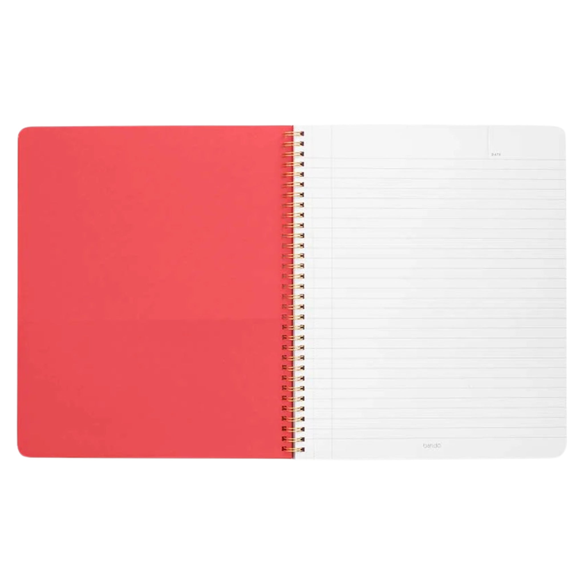 Flowers and Fruit Rough Draft Large Notebook - bubblegum market
