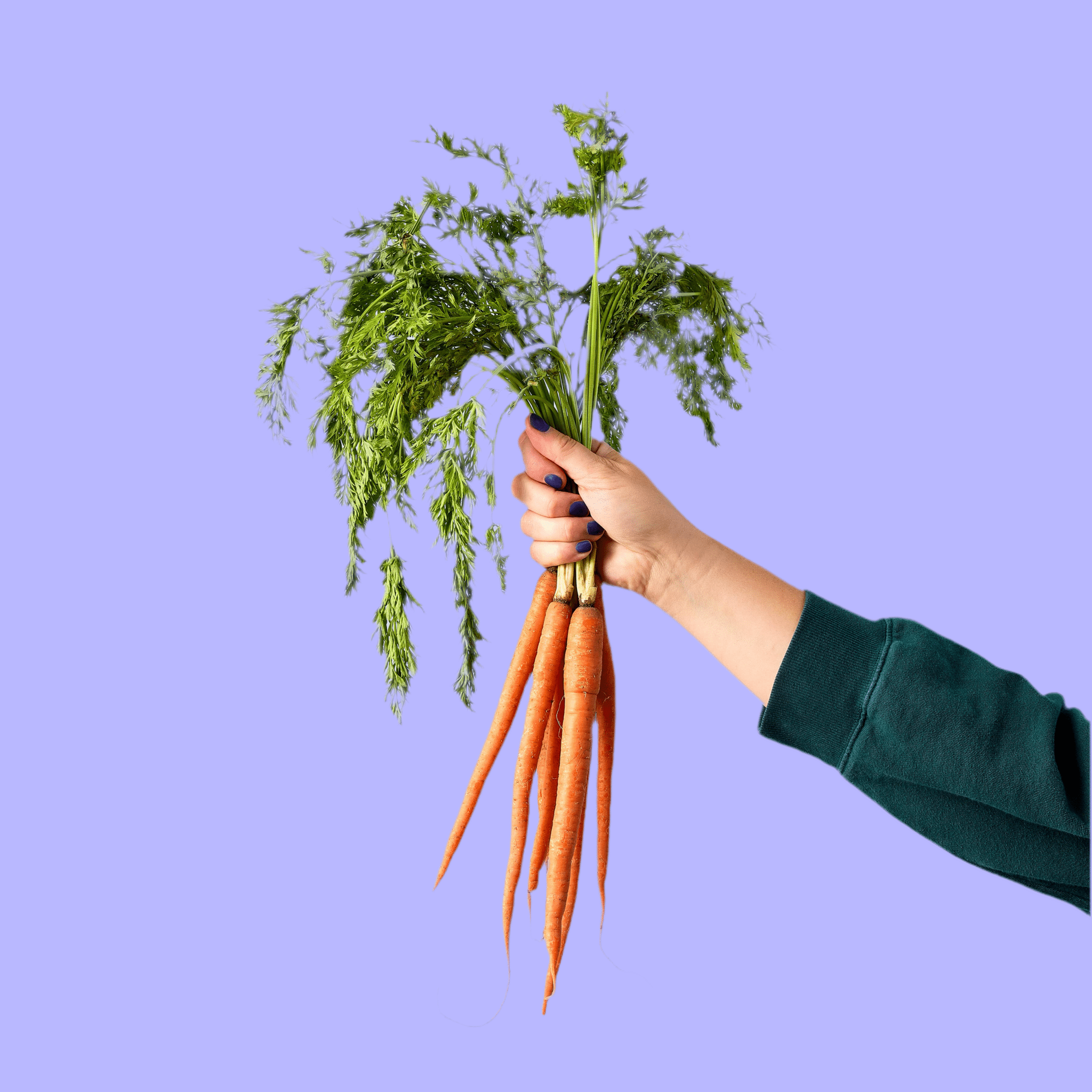 Garden Seed Pop: Carrot Bunch - bubblegum market