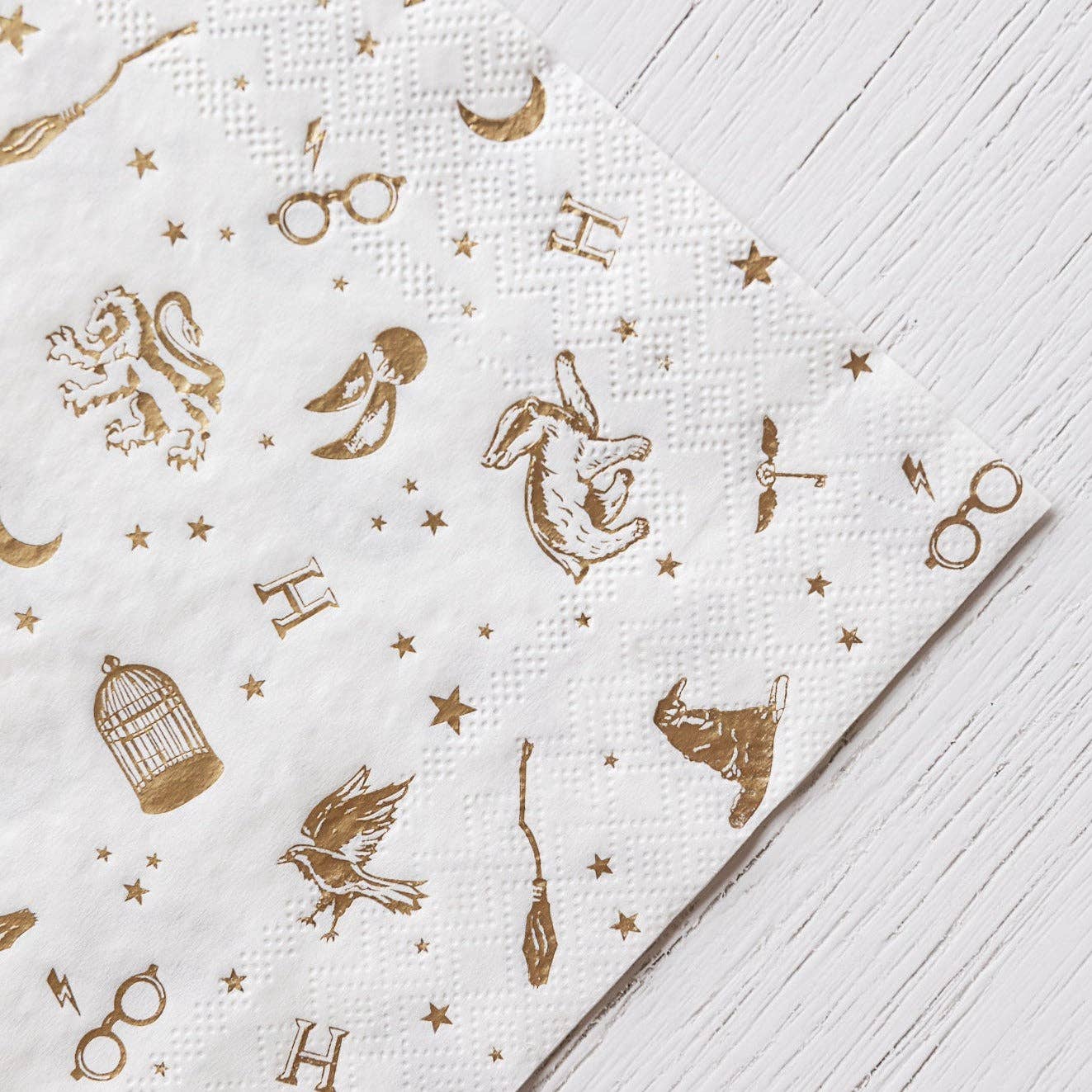 Harry Potter x Bonjour Fête House Pride Large Party Napkins - bubblegum market