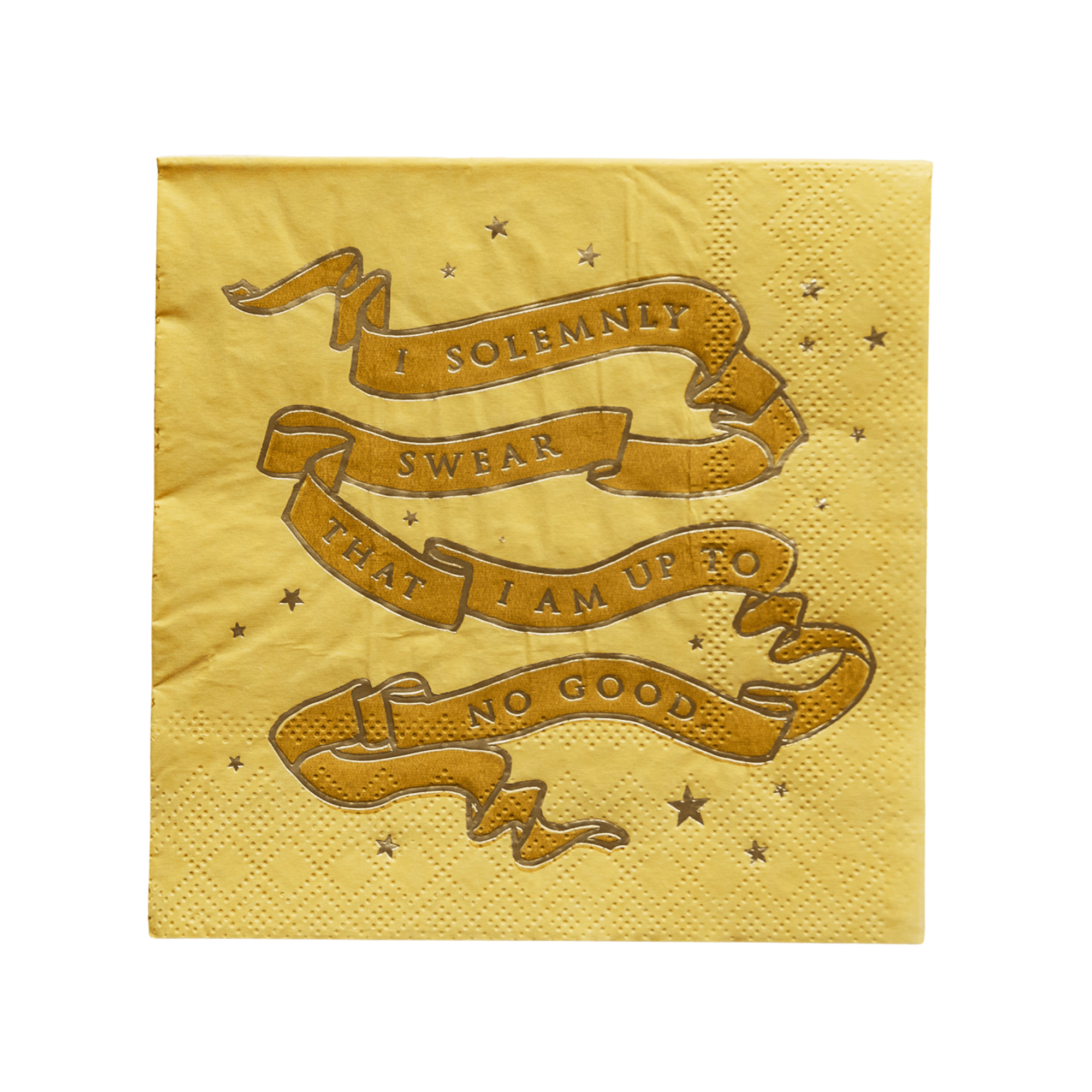 Harry Potter x Bonjour Fête House Pride Small Party Napkins - bubblegum market