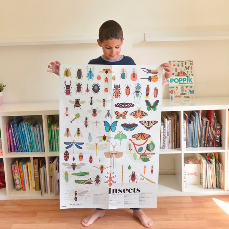 Insect Discovery Sticker Poster - bubblegum market