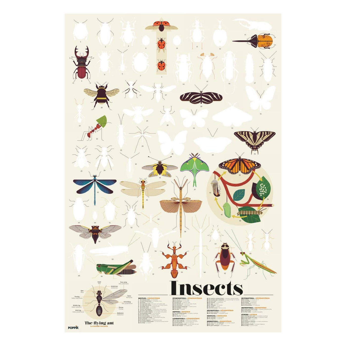 Insect Discovery Sticker Poster - bubblegum market