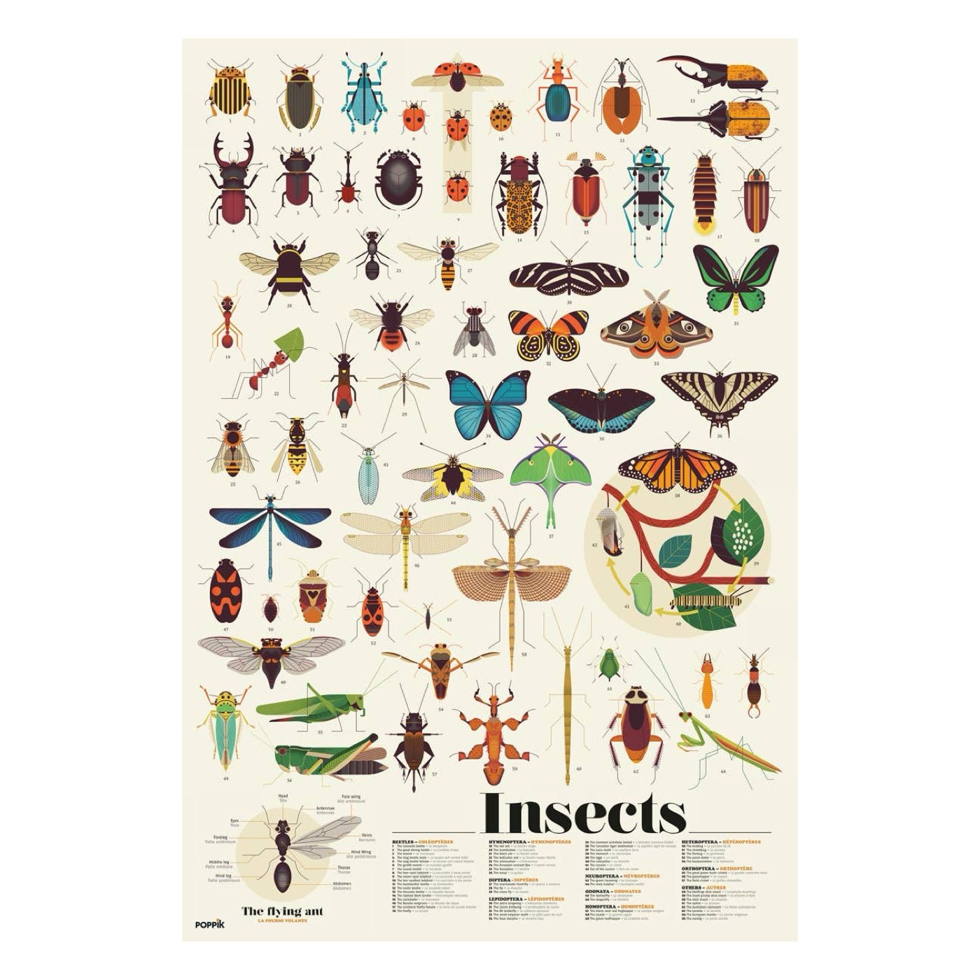 Insect Discovery Sticker Poster - bubblegum market