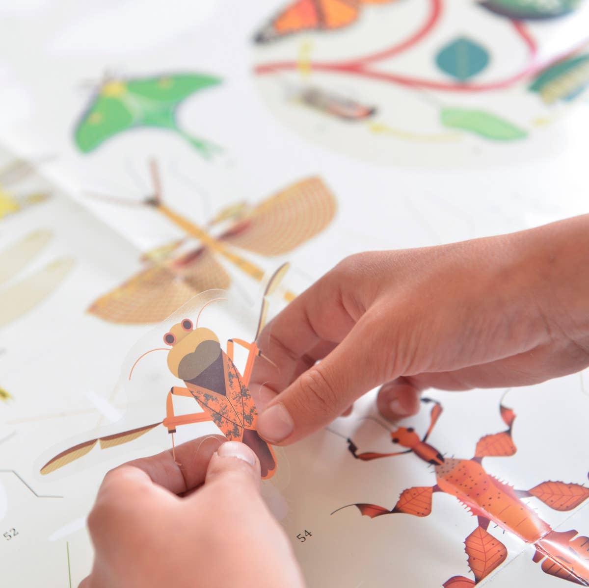 Insect Discovery Sticker Poster - bubblegum market