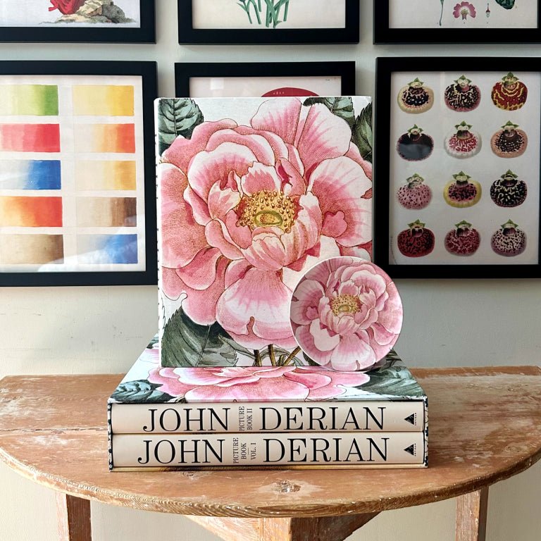 John Derian Picture Book II (Hardcover) - bubblegum market