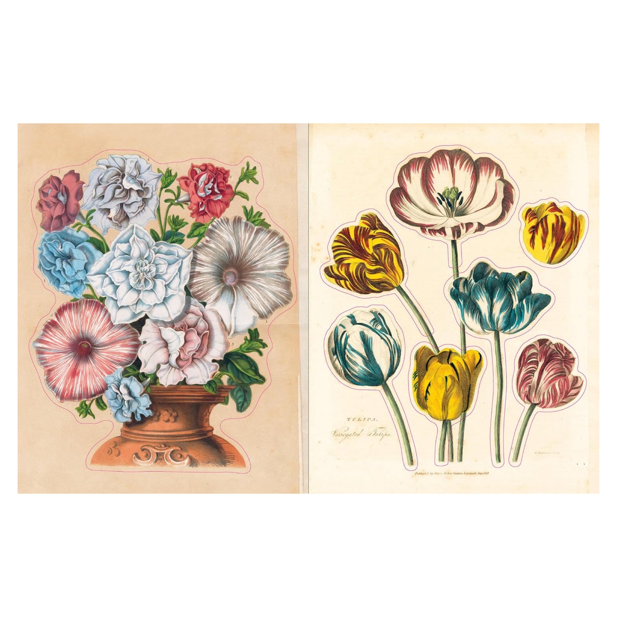 John Derian Sticker Book (Hardcover) - bubblegum market