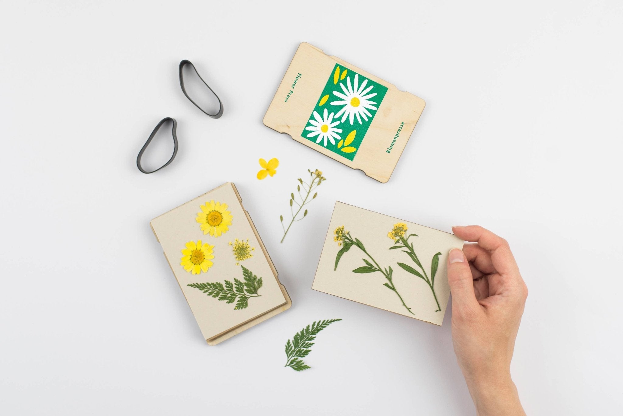 Pocket Flower Press | Daisy - bubblegum market