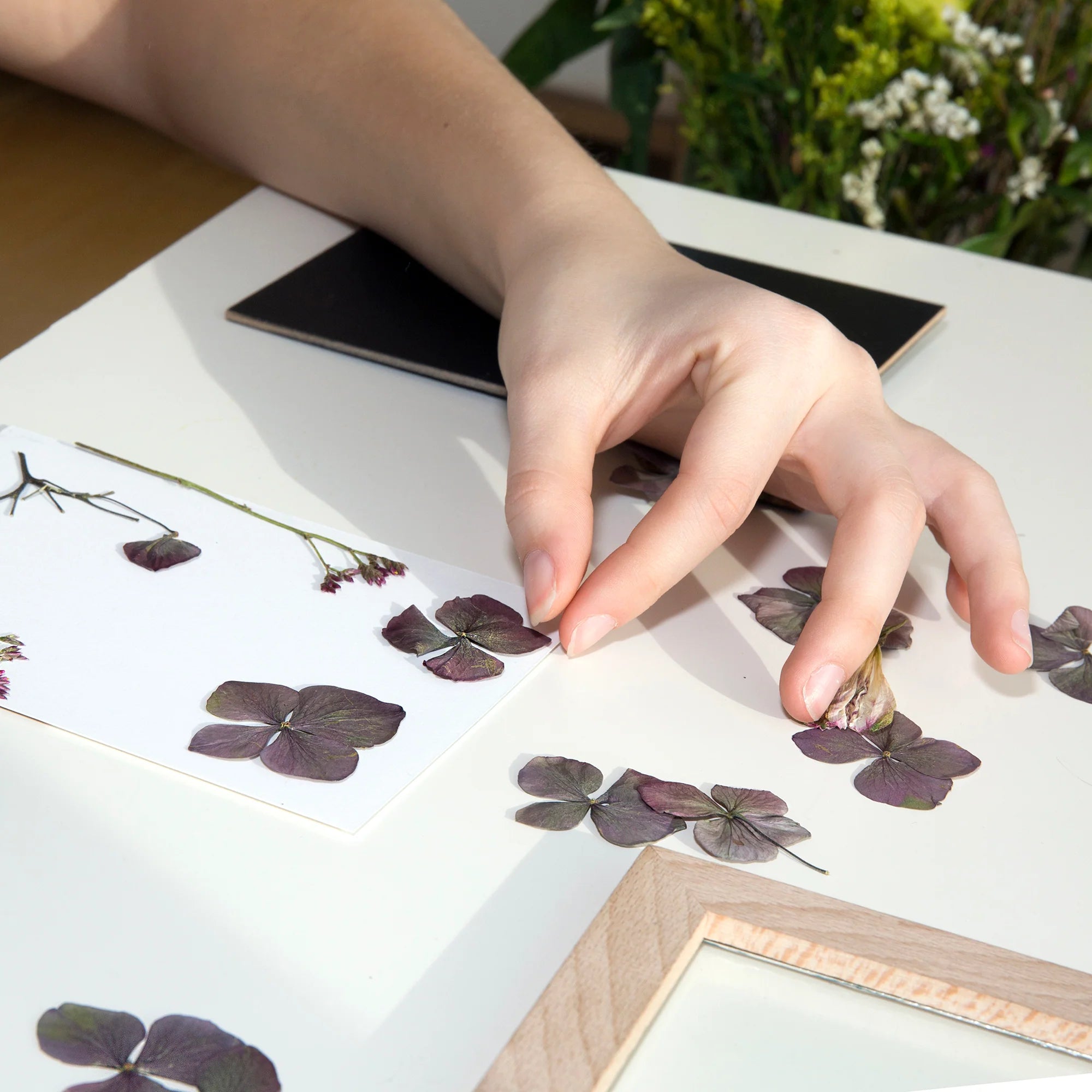 Pressed Flower Frame - bubblegum market
