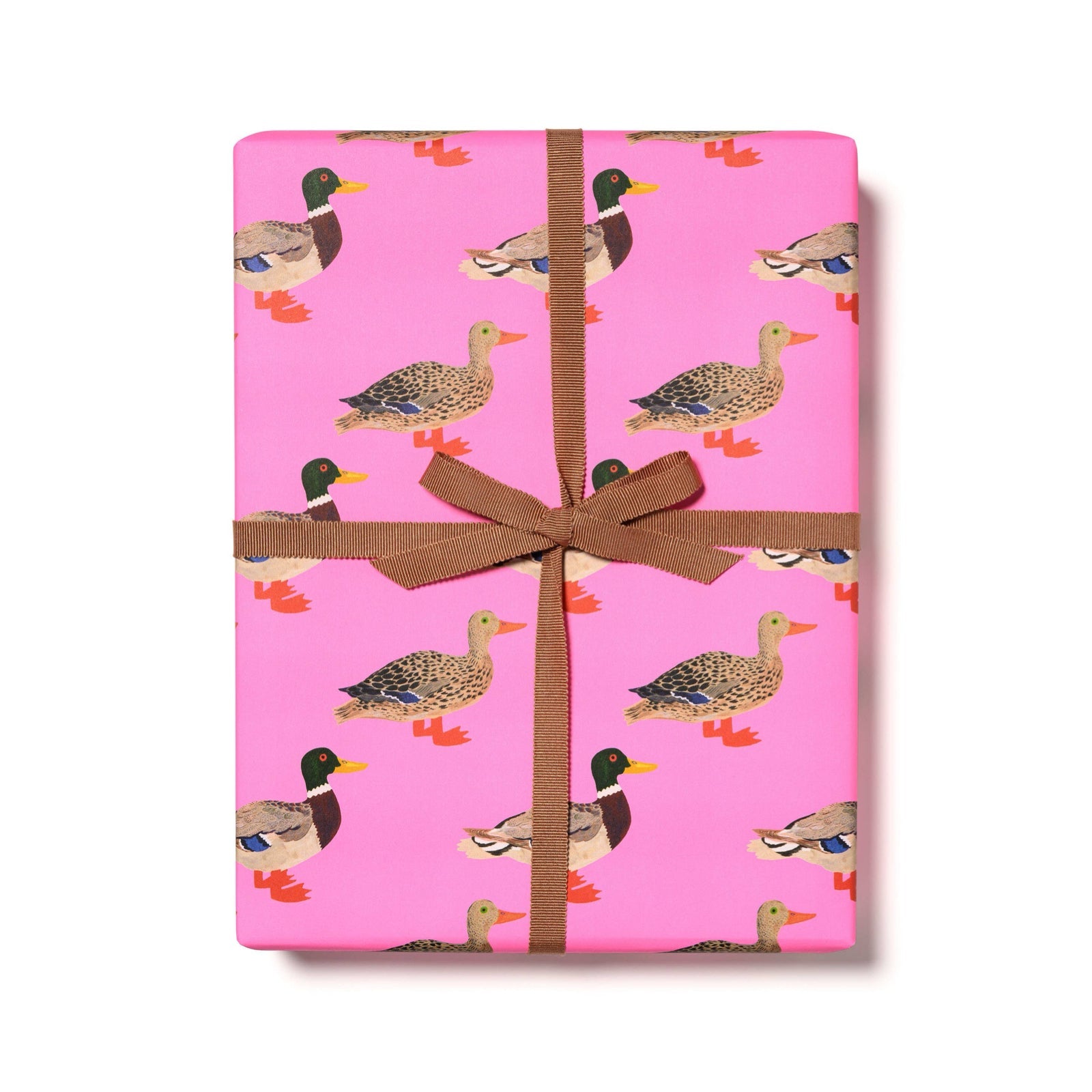 Quacky Birthday Wrapping Paper Sheets (Roll of 3) - bubblegum market