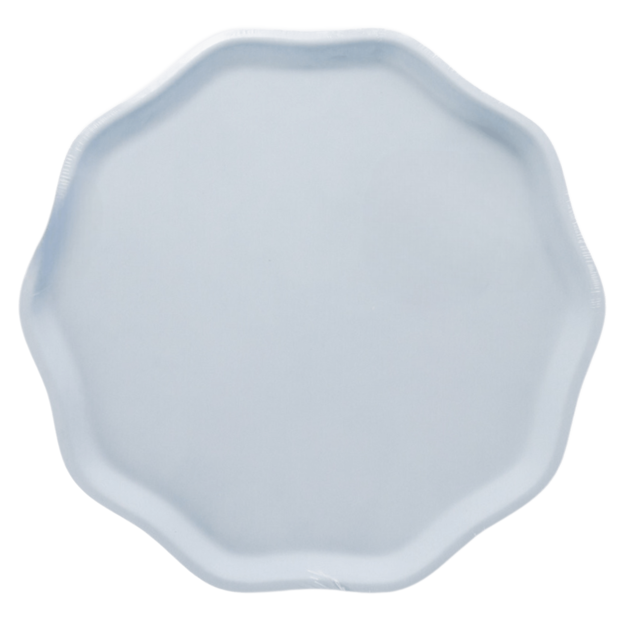 Sky Blue Compostable Dinner Plates 10.5" - bubblegum market