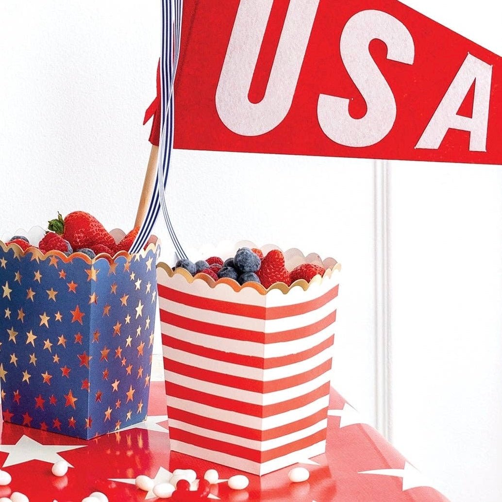 Stars & Stripes Treat Boxes - bubblegum market