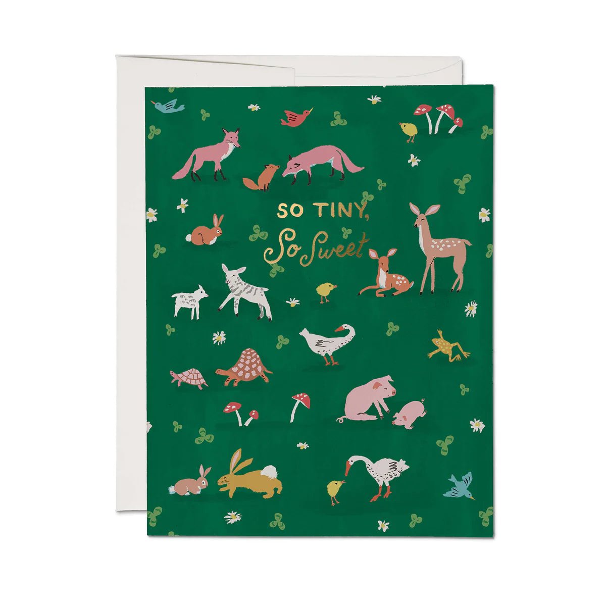Tiny Animals Greeting Card - bubblegum market