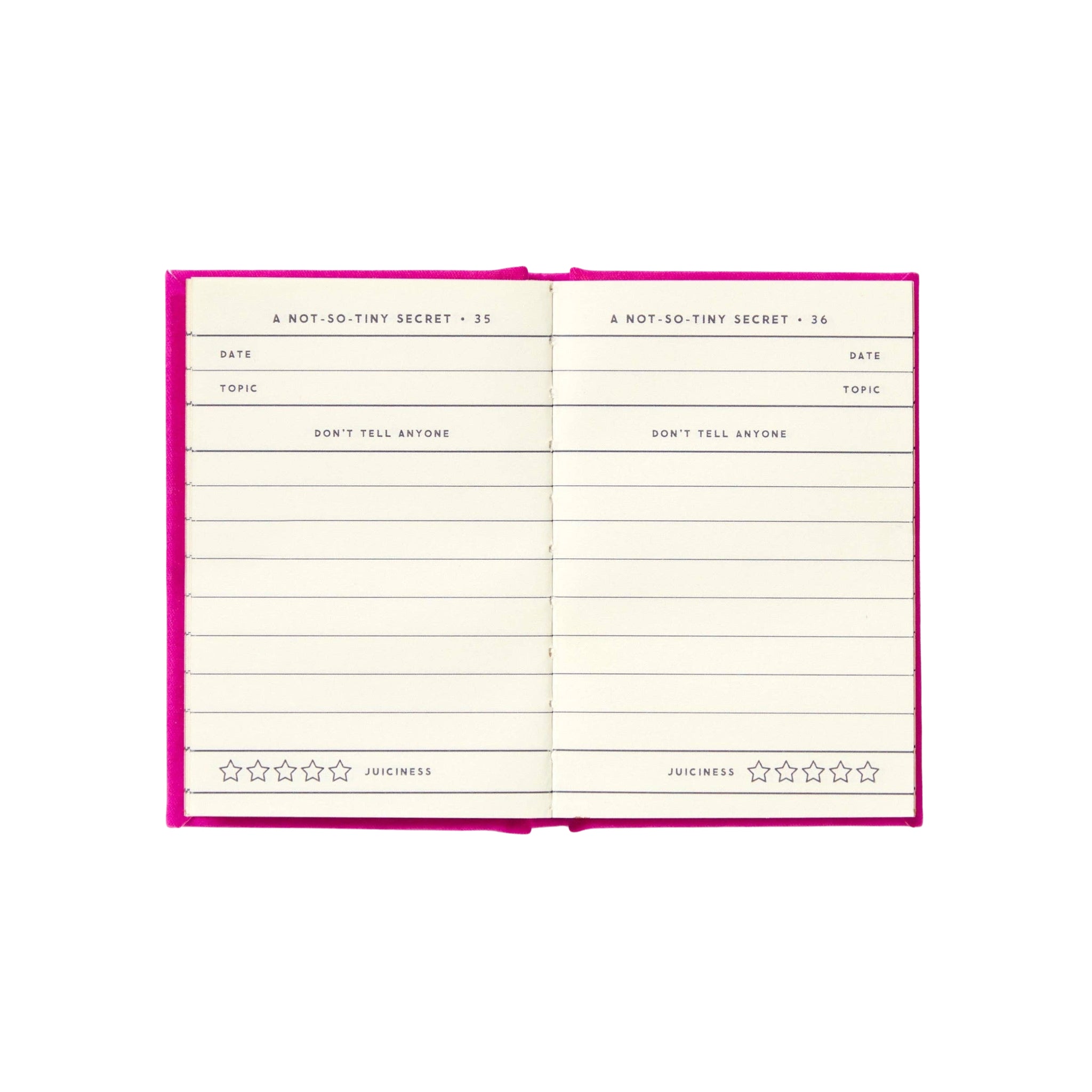 Tiny Diary for Not So Tiny Secrets - bubblegum market