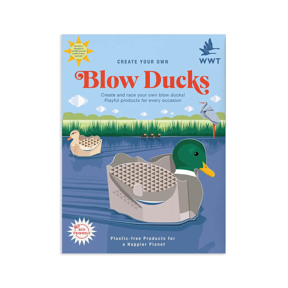 Create Your Own Blow Ducks - bubblegum market