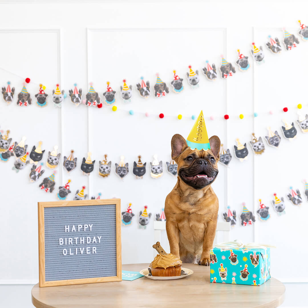 Party Animals Dog Banner - bubblegum market
