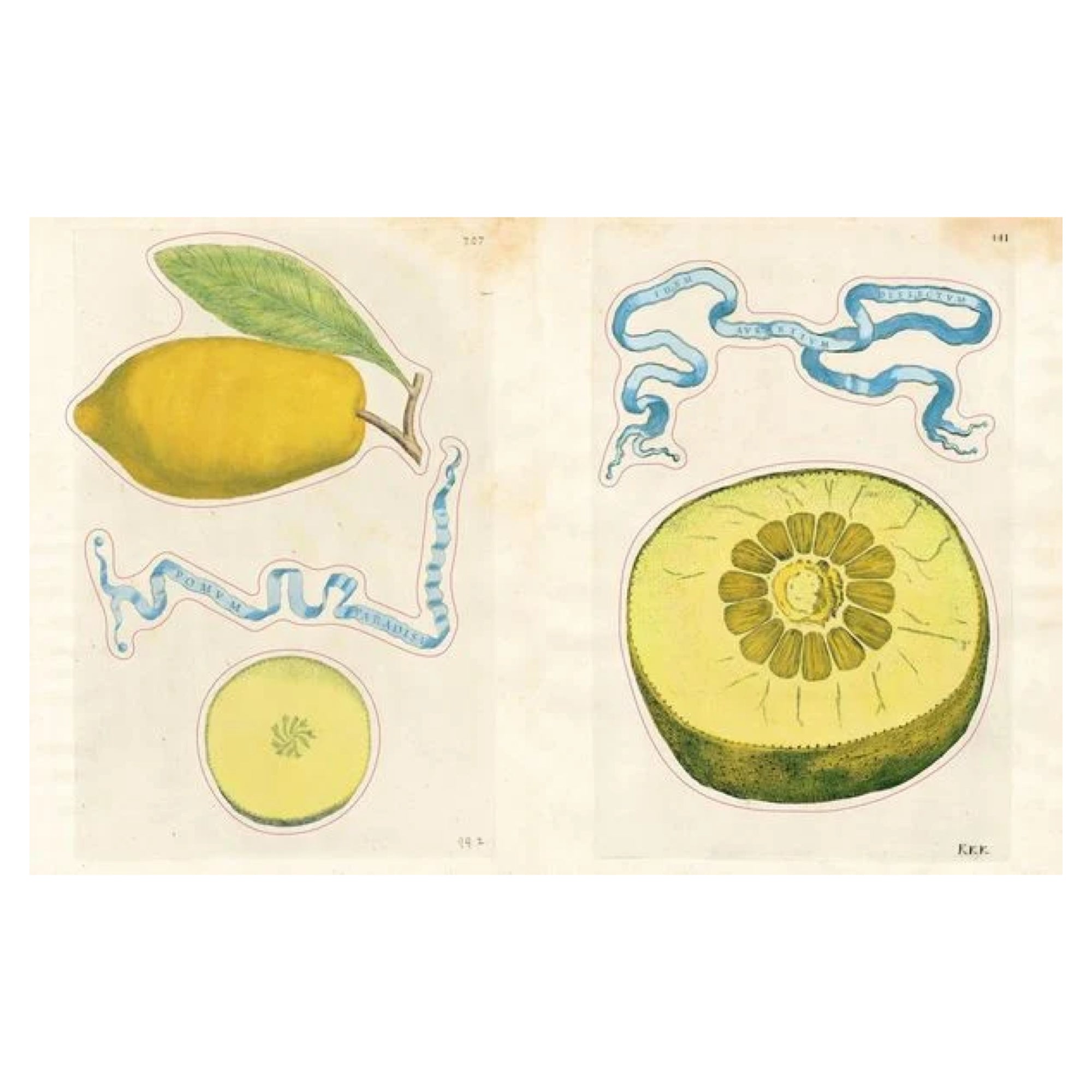 John Derian Sticker Book II