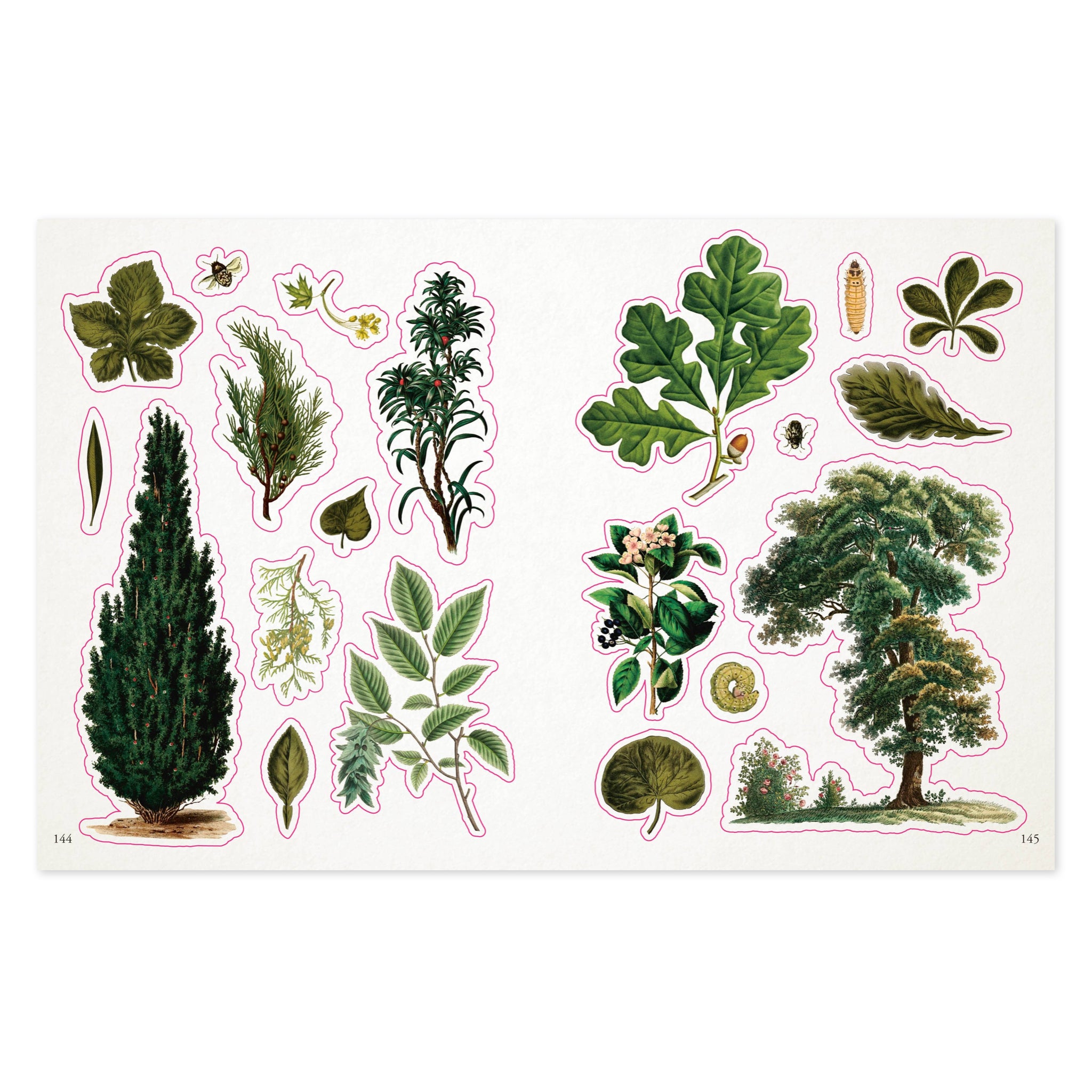 Botanist's Sticker Anthology