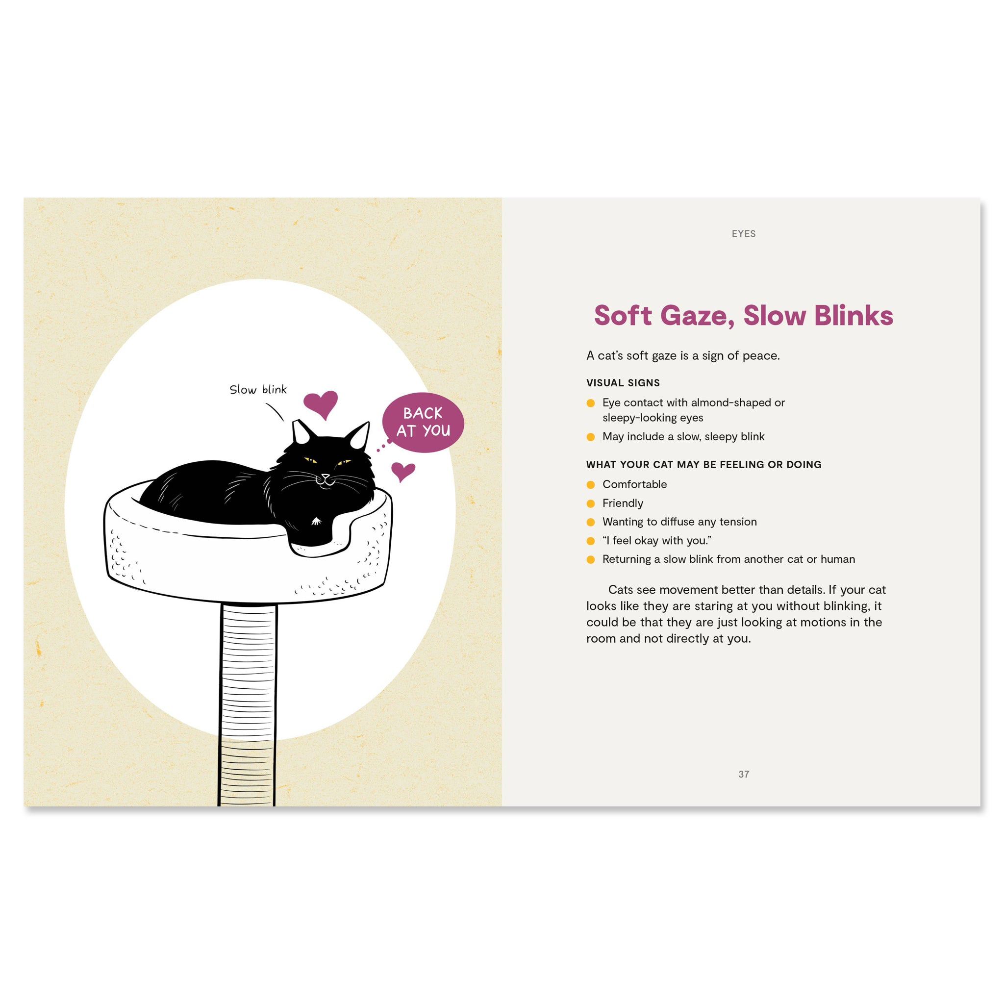 Kitty Language: An Illustrated Guide to Understanding Your Cat