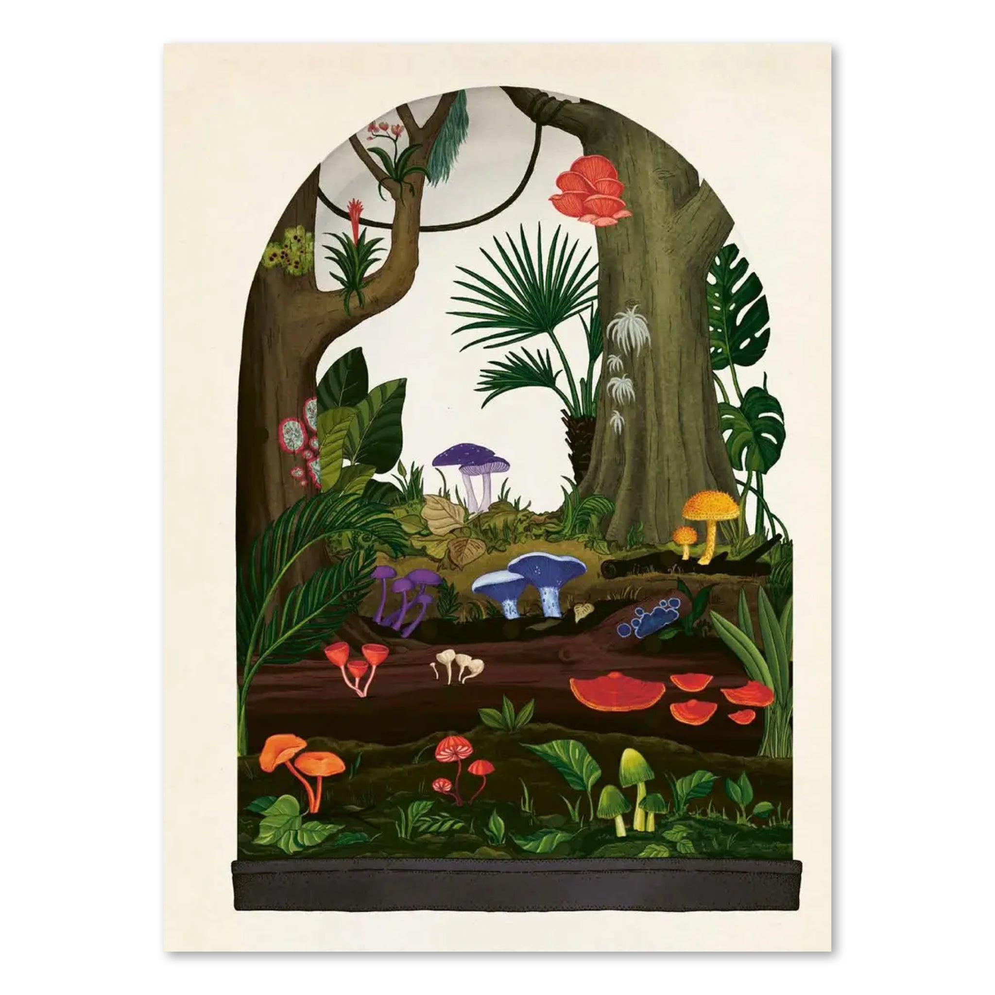 Fungarium Poster Book (Welcome to the Museum)