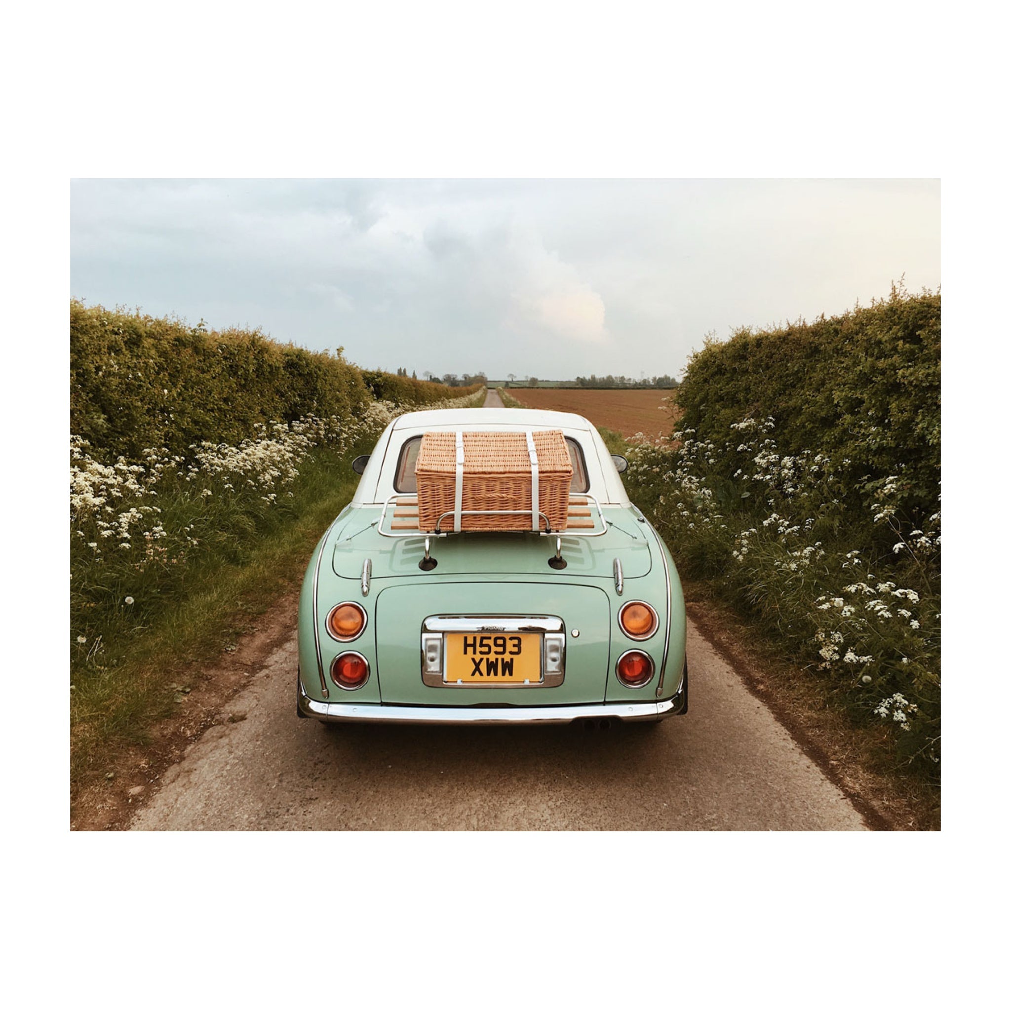 Accidentally Wes Anderson: Adventures - bubblegum market