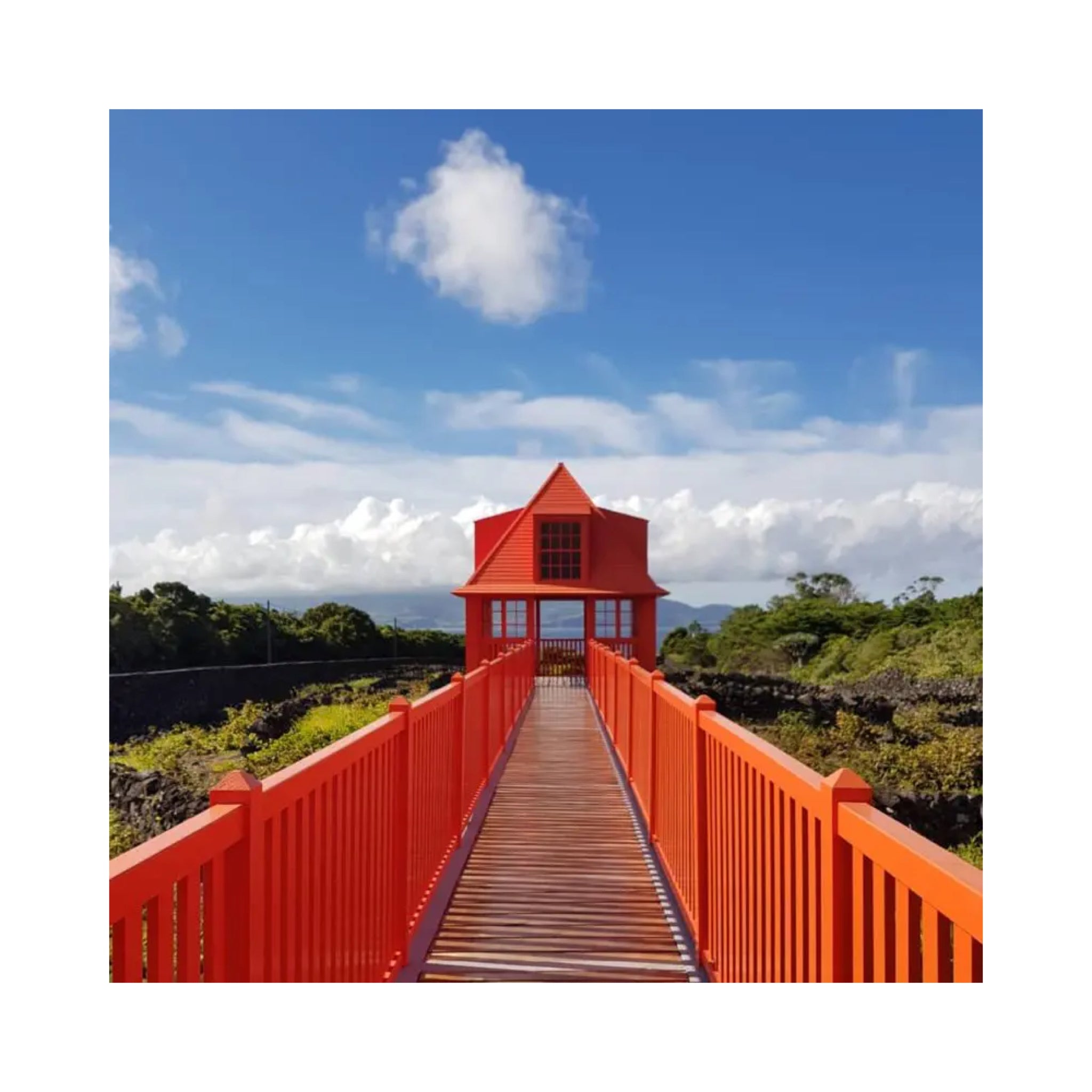 Accidentally Wes Anderson: Adventures - bubblegum market