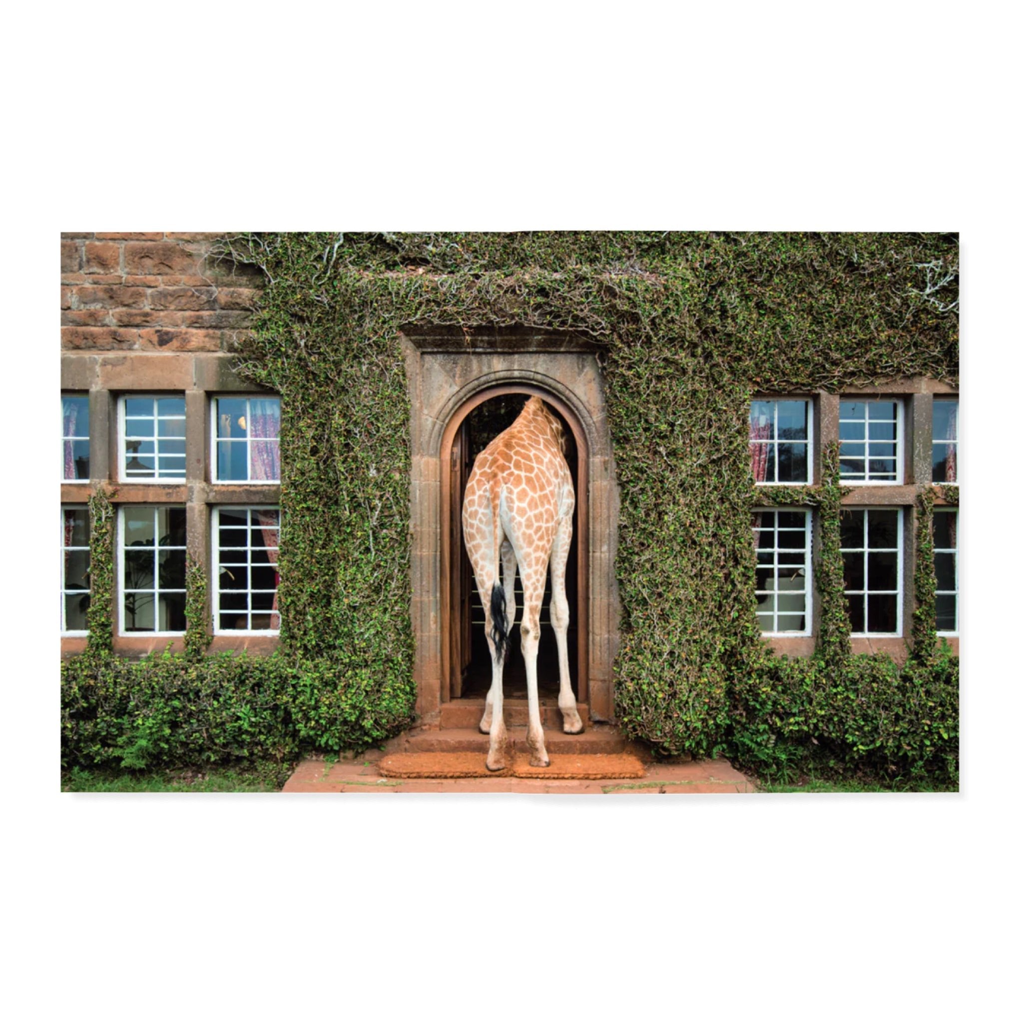 Accidentally Wes Anderson: Adventures - bubblegum market