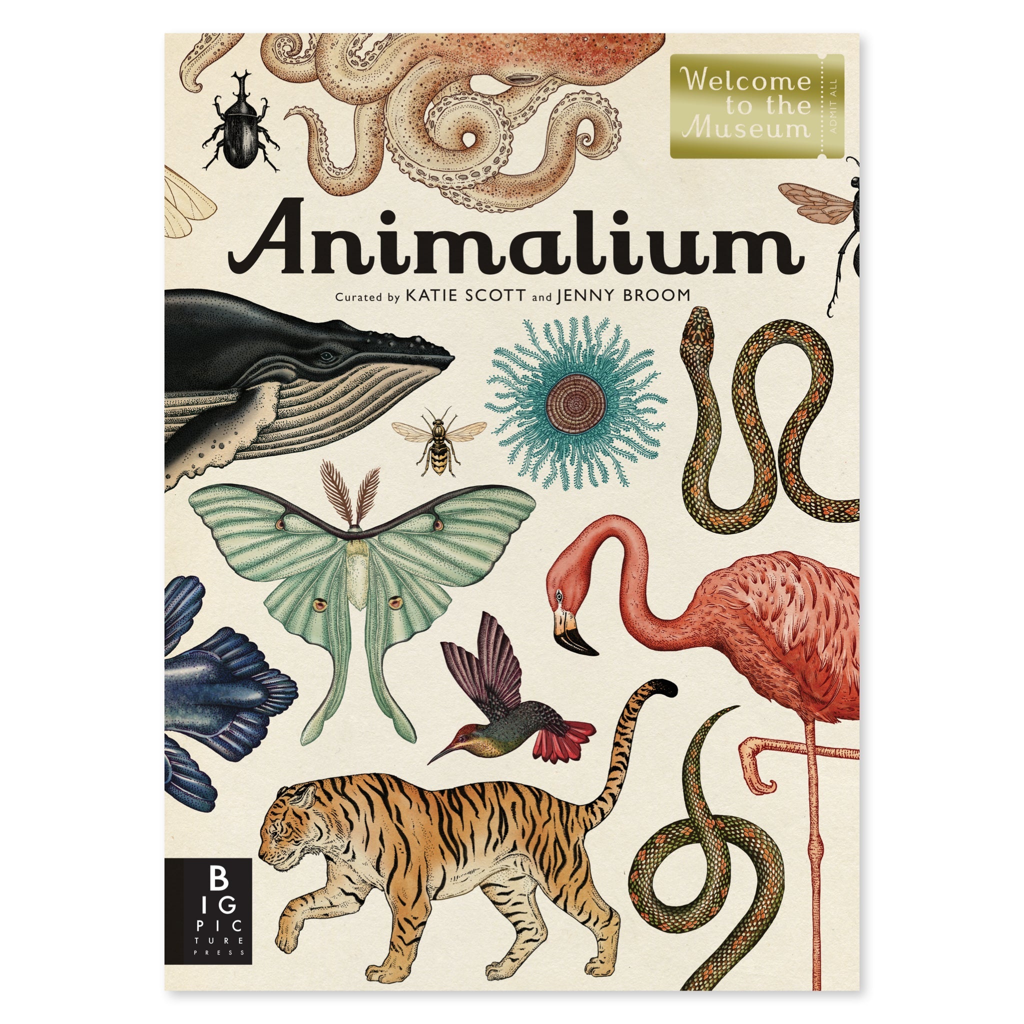 Animalium: Welcome to the Museum - bubblegum market