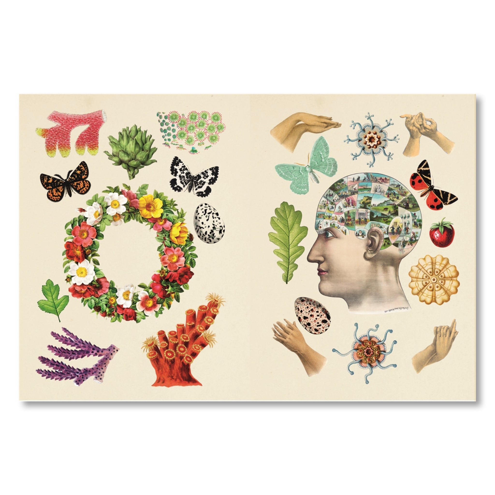 Antiquarian Sticker Book: 1000+ Victorian Stickers - bubblegum market