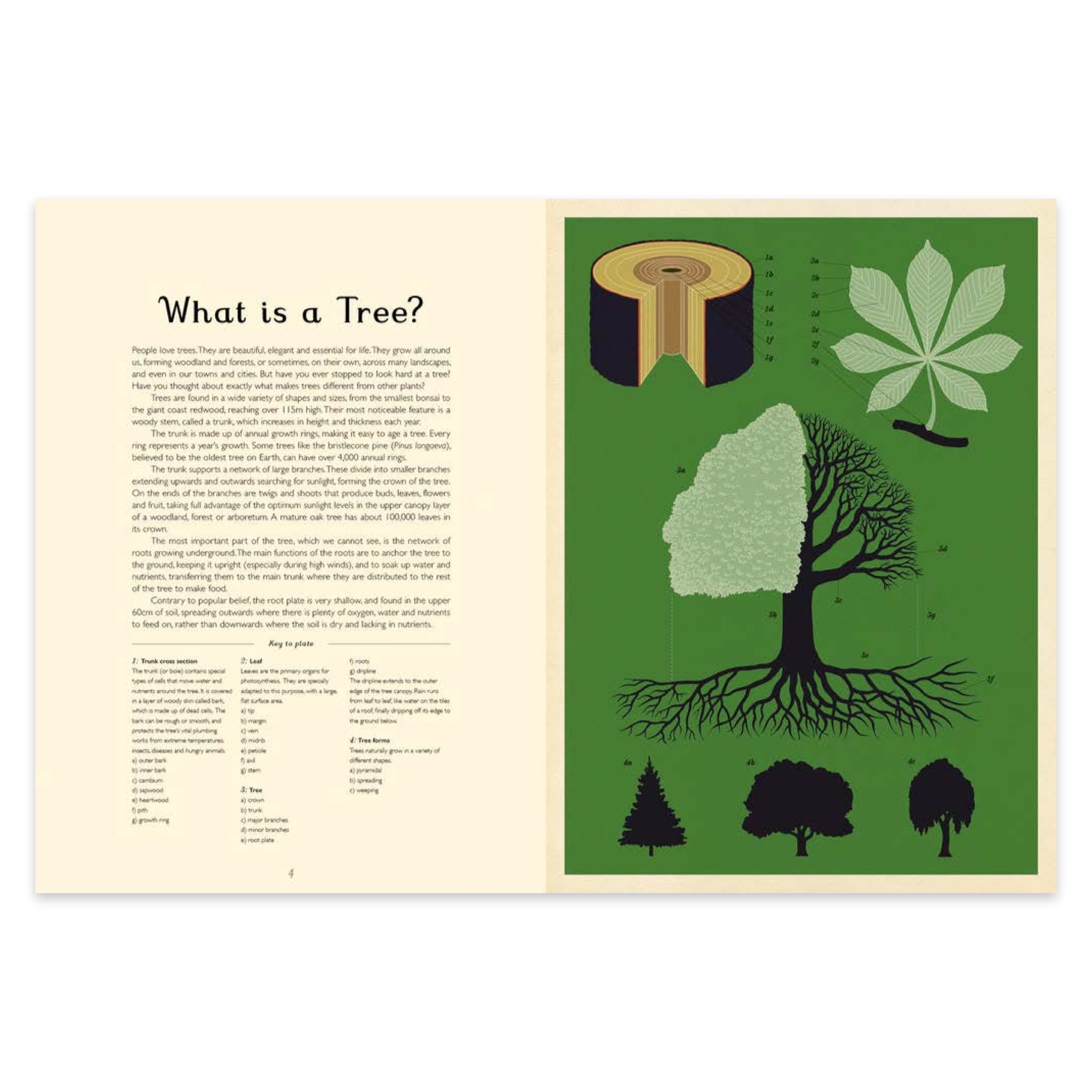 Arboretum: Welcome to the Museum - bubblegum market