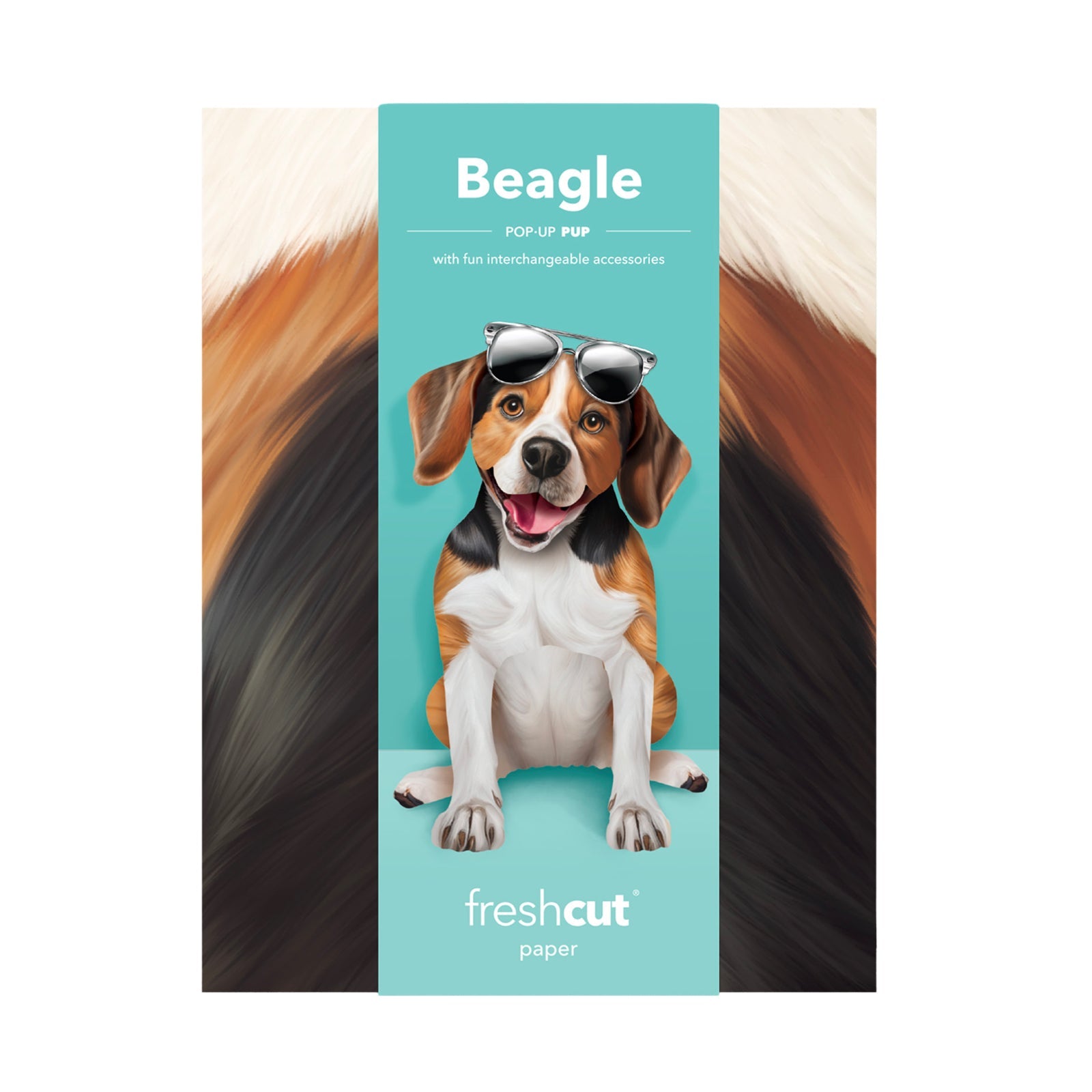 Beagle Pop - Up Pet Card - bubblegum market