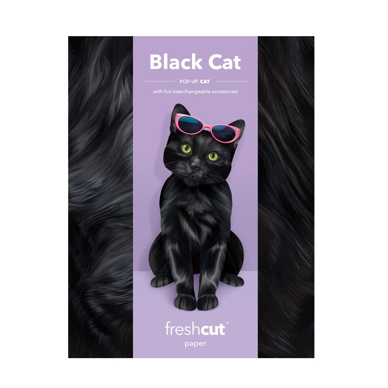 Black Cat Pop - Up Pet Card - bubblegum market