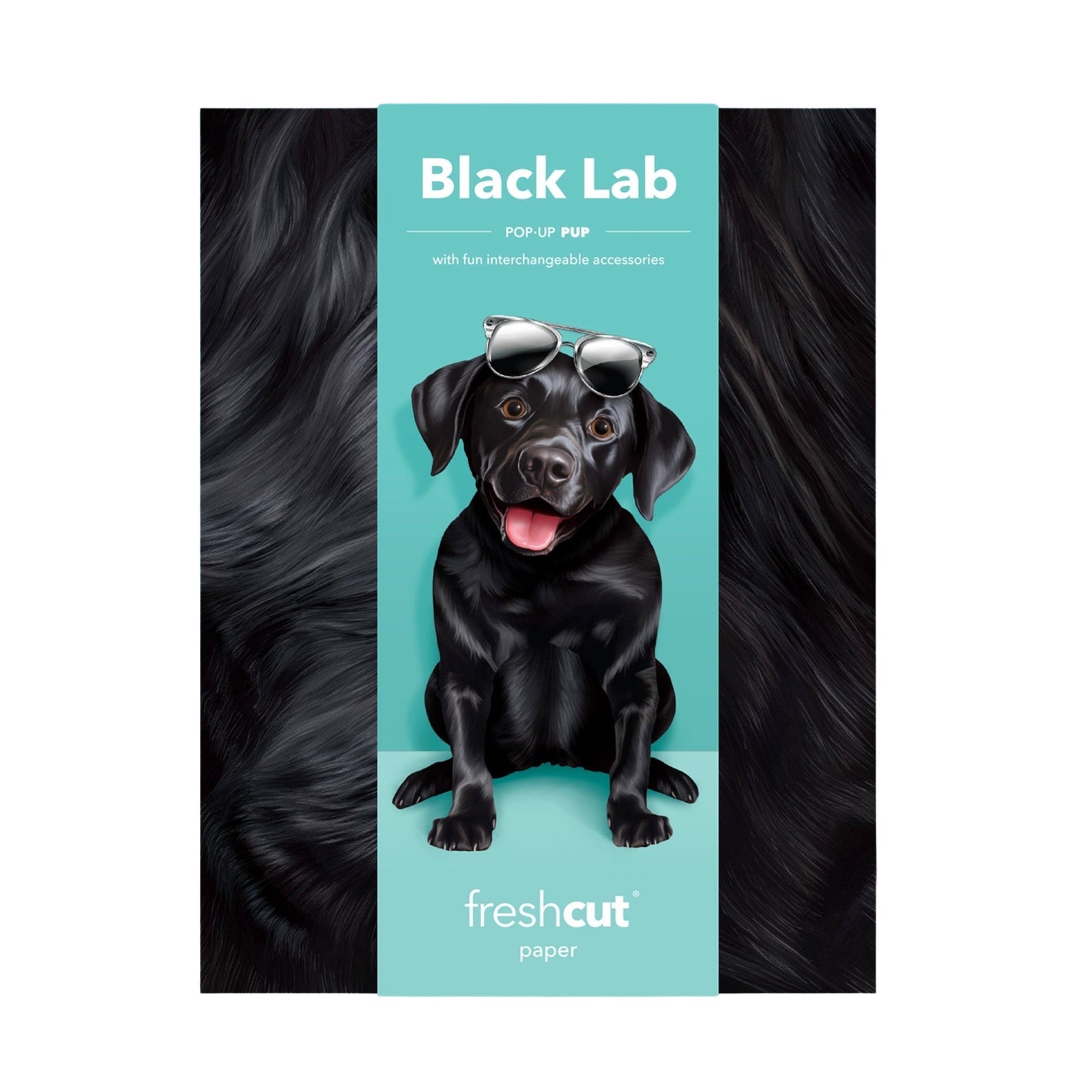 Black Lab Pop - Up Pet Card - bubblegum market