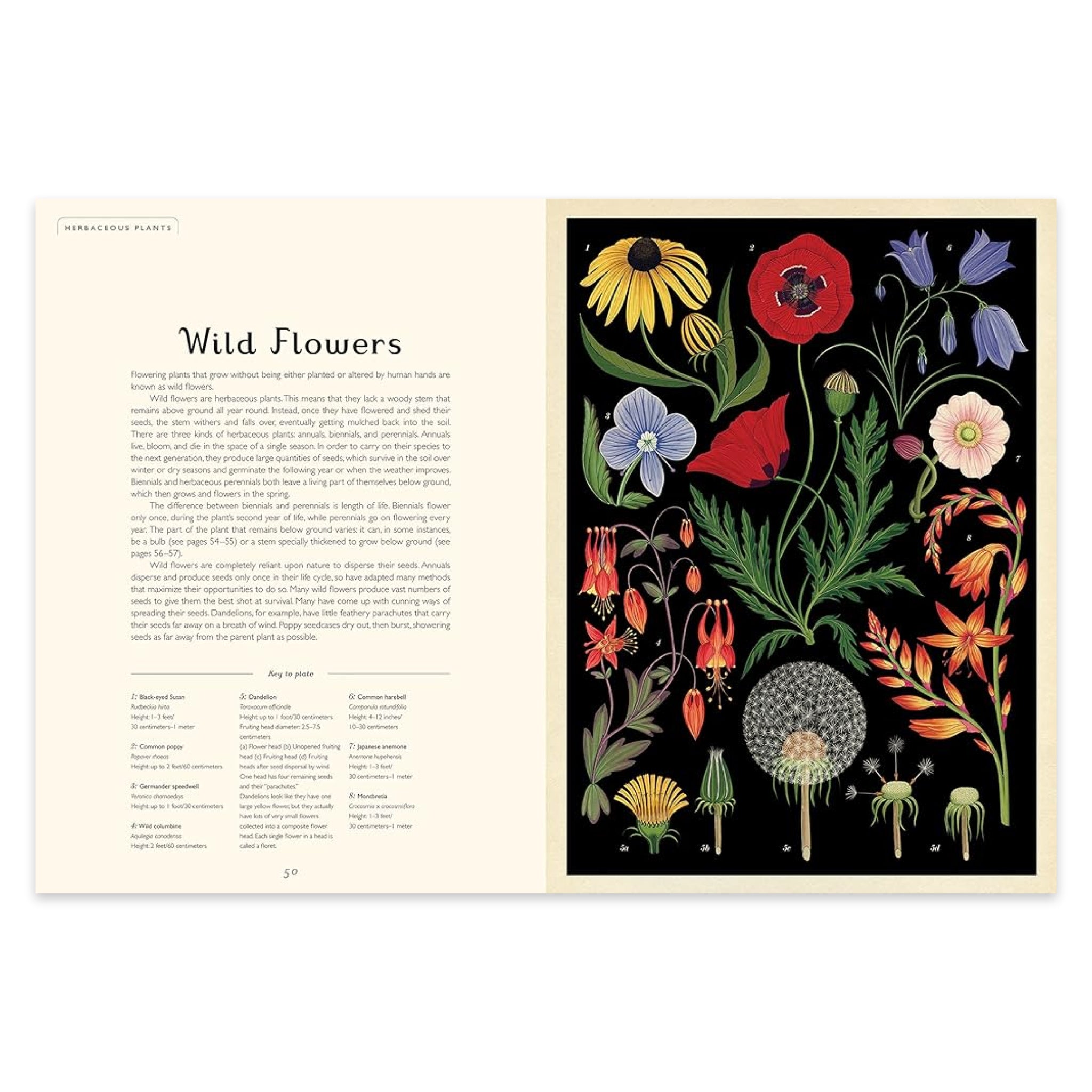 Botanicum: Welcome to the Museum - bubblegum market