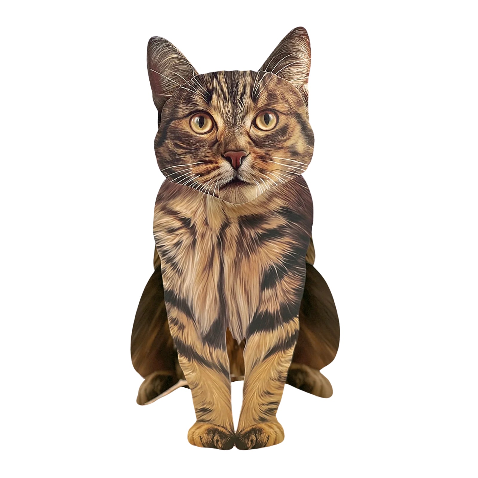Brown Tabby Pop - Up Pet Card - bubblegum market