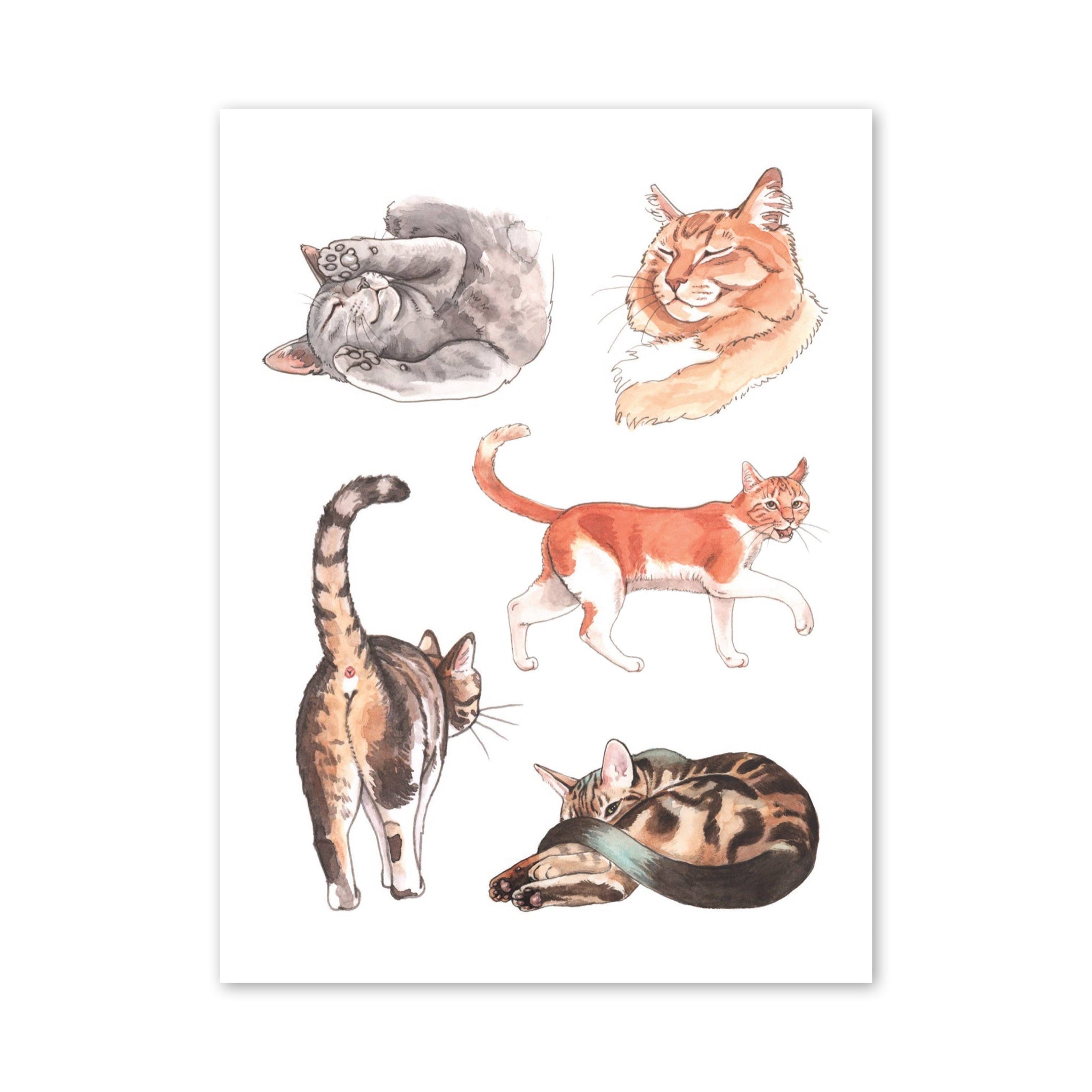 Cat's Meow Sticker Book - bubblegum market