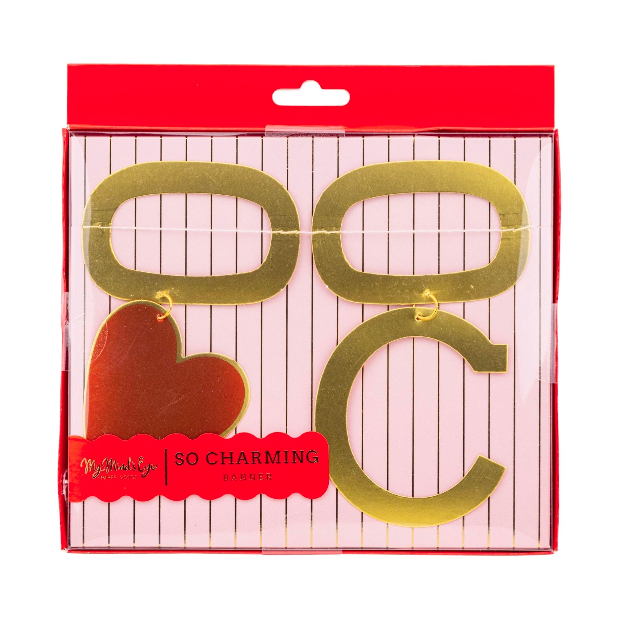 CHARMED Paper Valentine’s Banner - bubblegum market