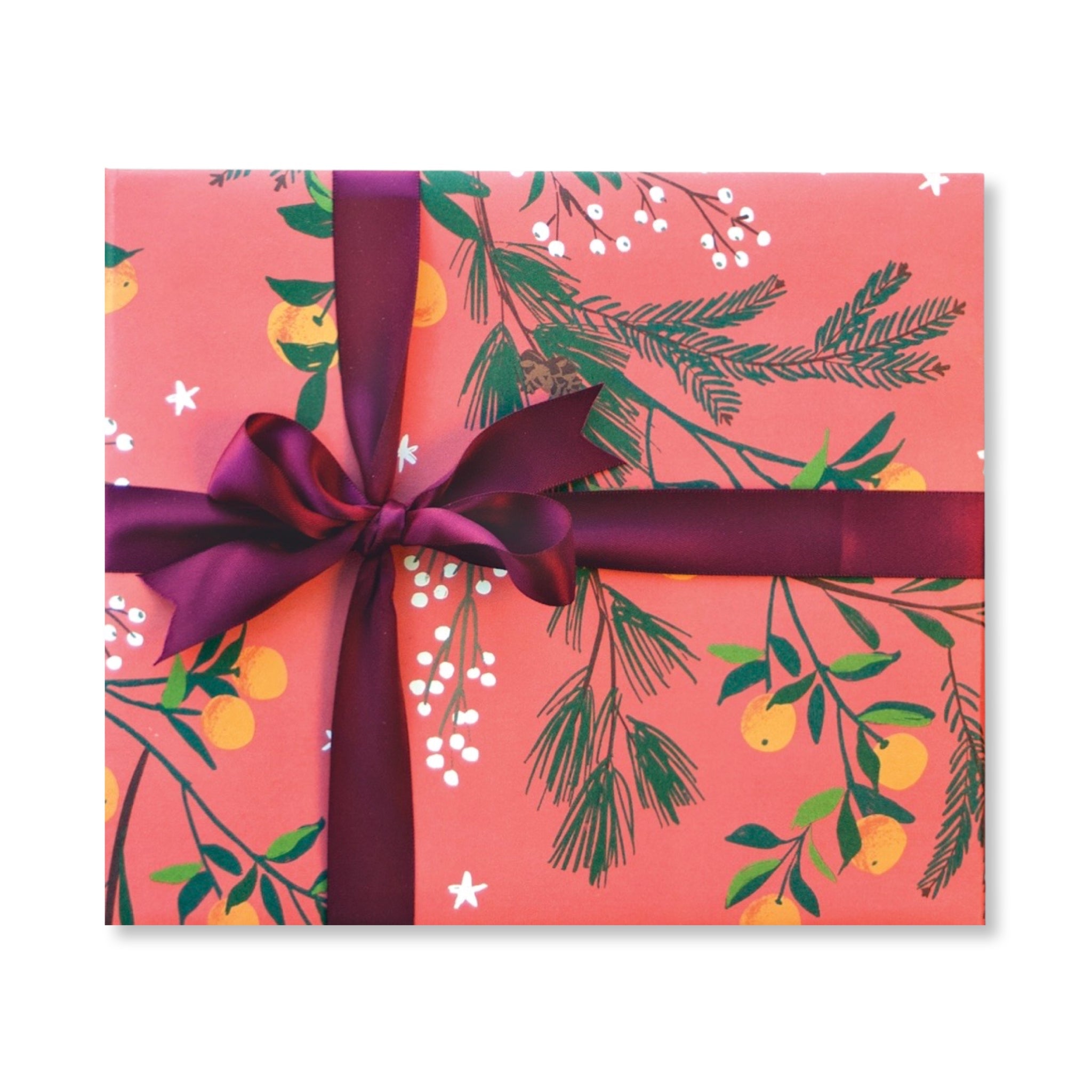 Clementines and Botanicals Gift Wrap: Roll of 3 Sheets - bubblegum market